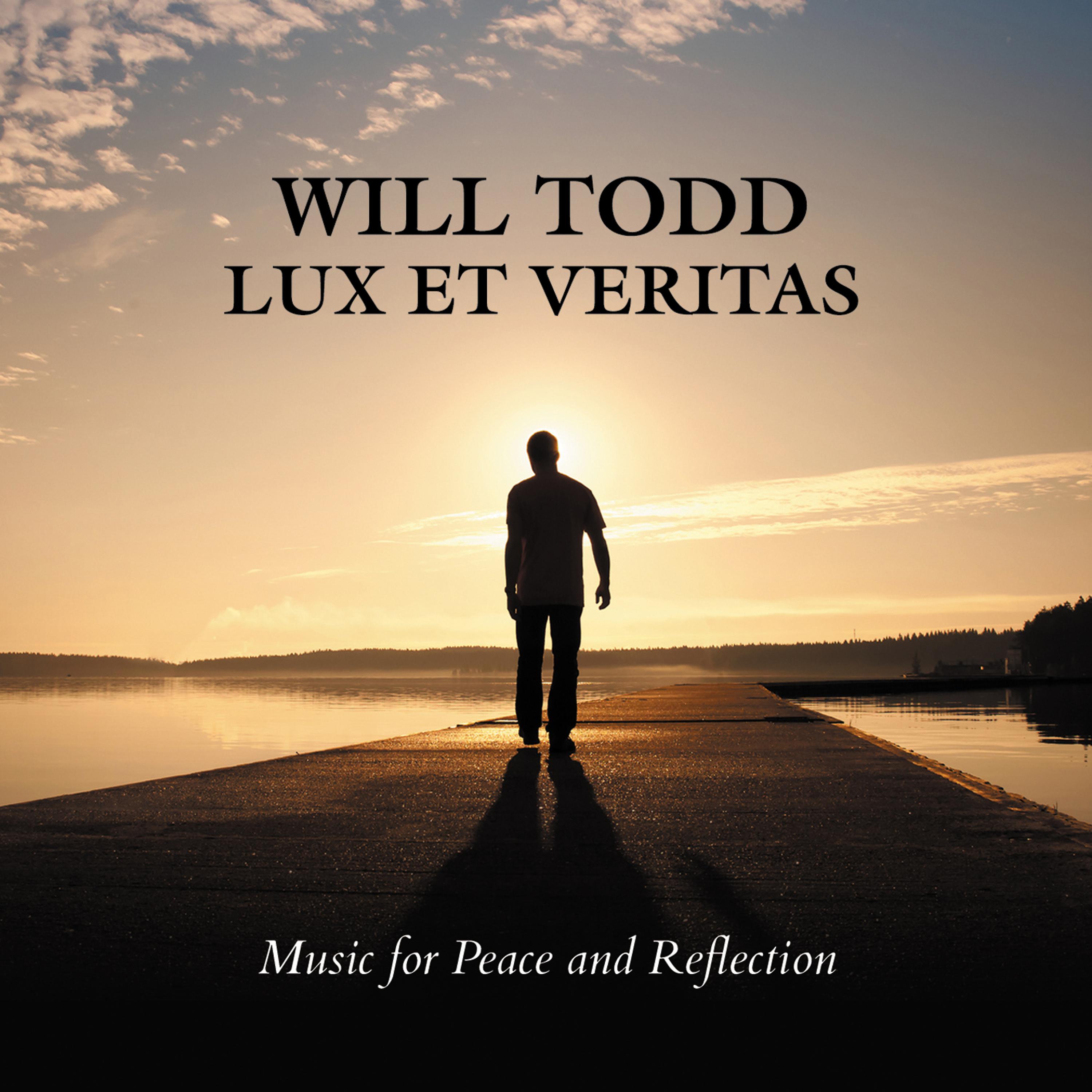Постер альбома Will Todd: Lux Et Veritas - Music for Peace and Reflection