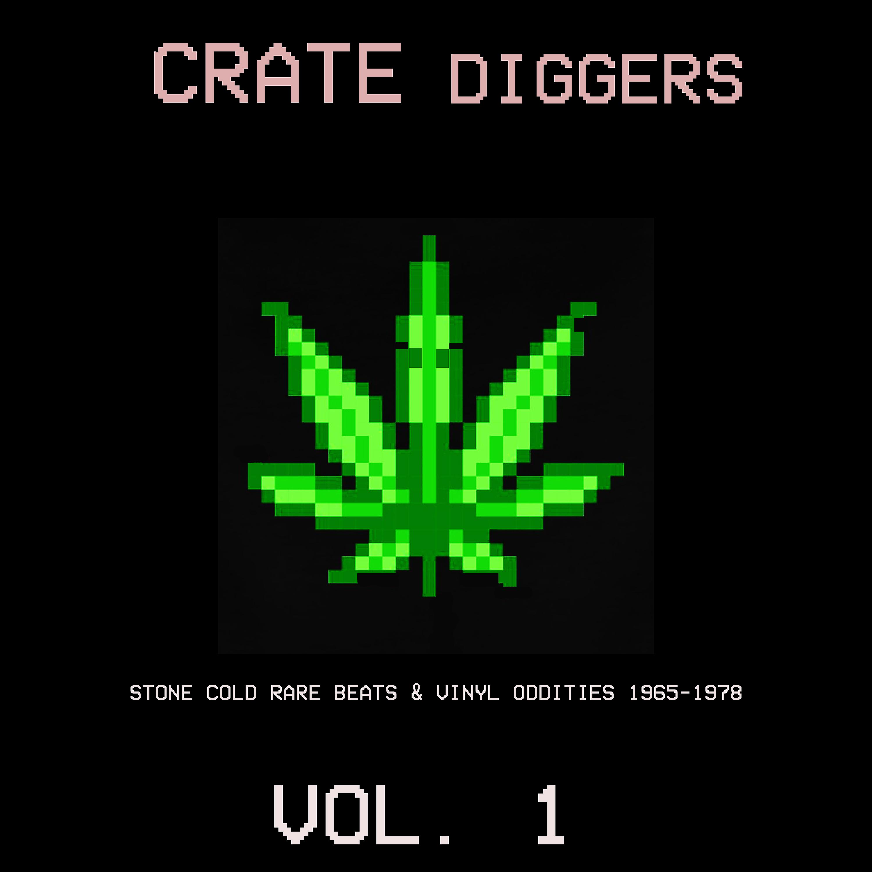 Постер альбома Crate Diggers Vol. 1: Stone Cold Rare Beats & Vinyl Oddities 1965-1978