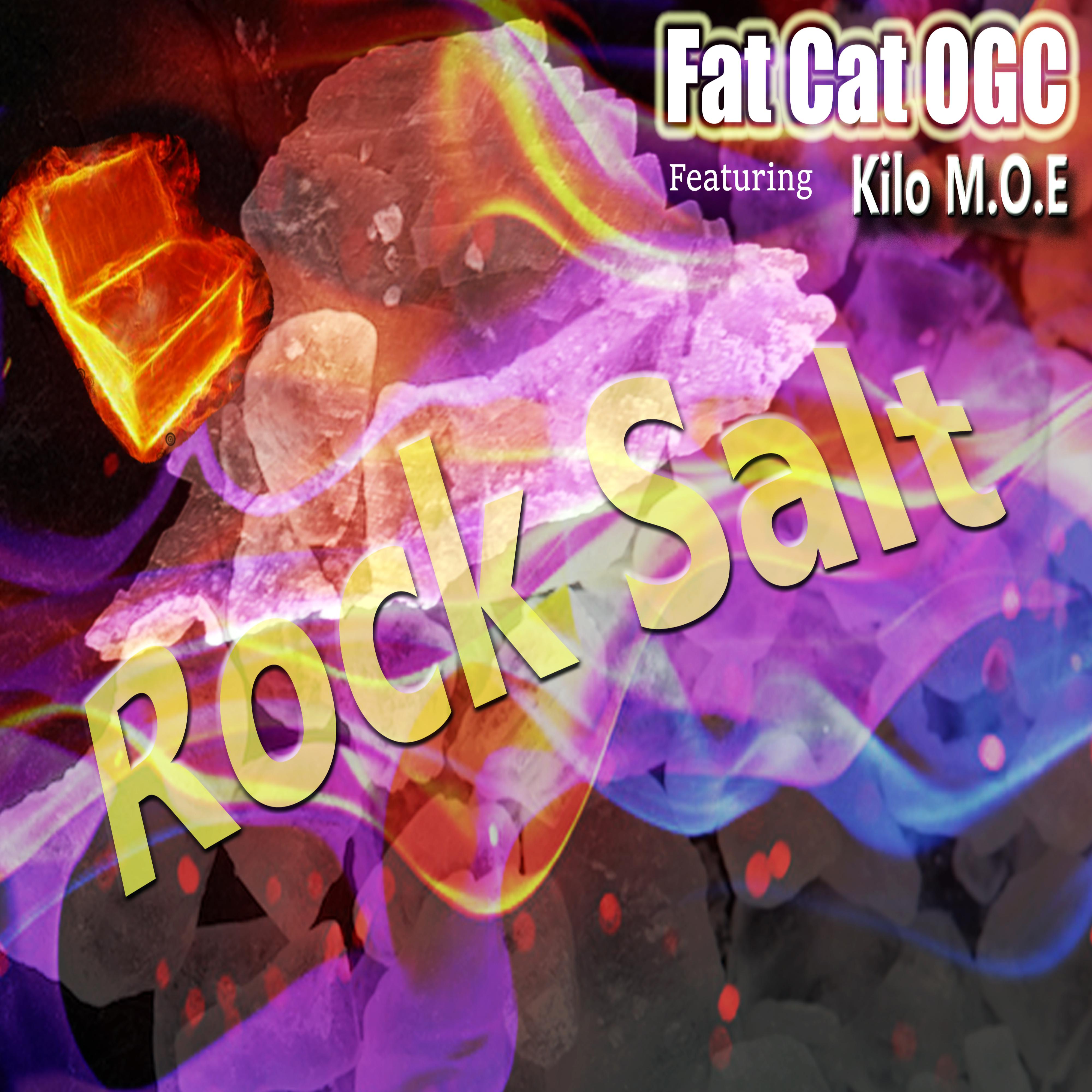 Постер альбома Rock Salt