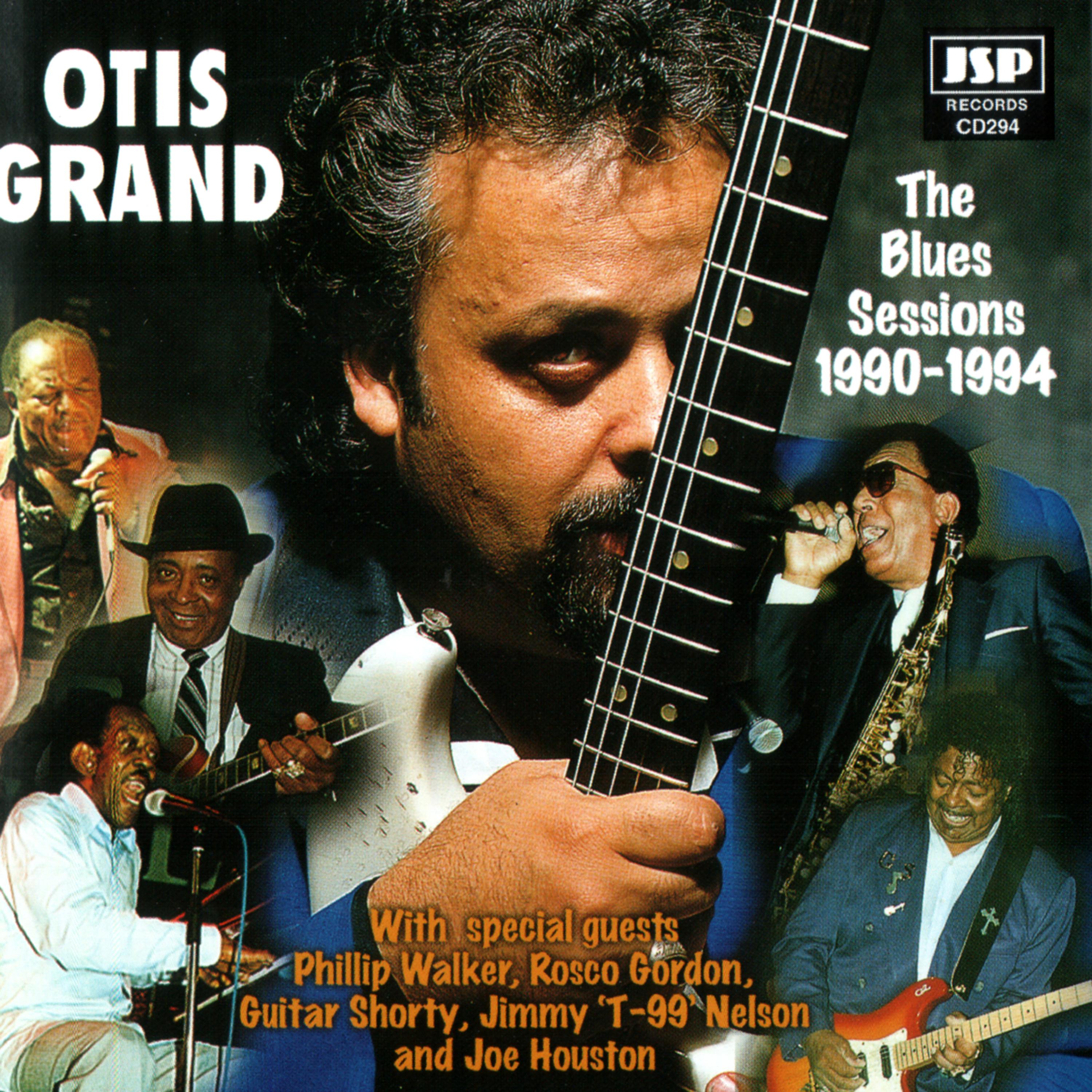 Постер альбома The Blues Sessions: 1990-1994