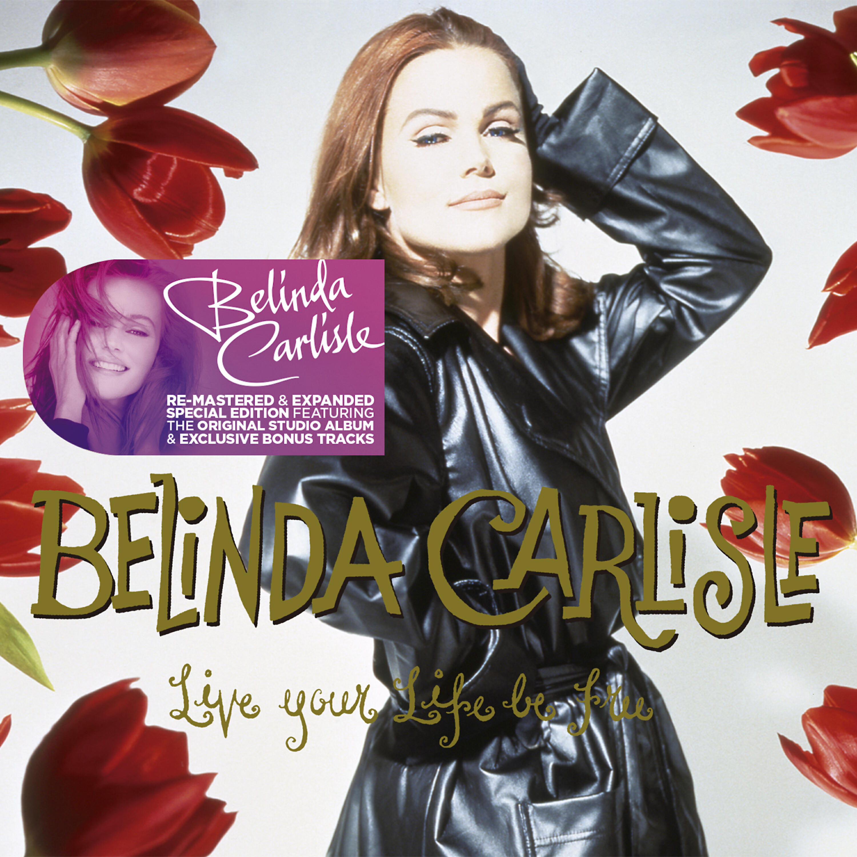Belinda Carlisle - I Plead Insanity