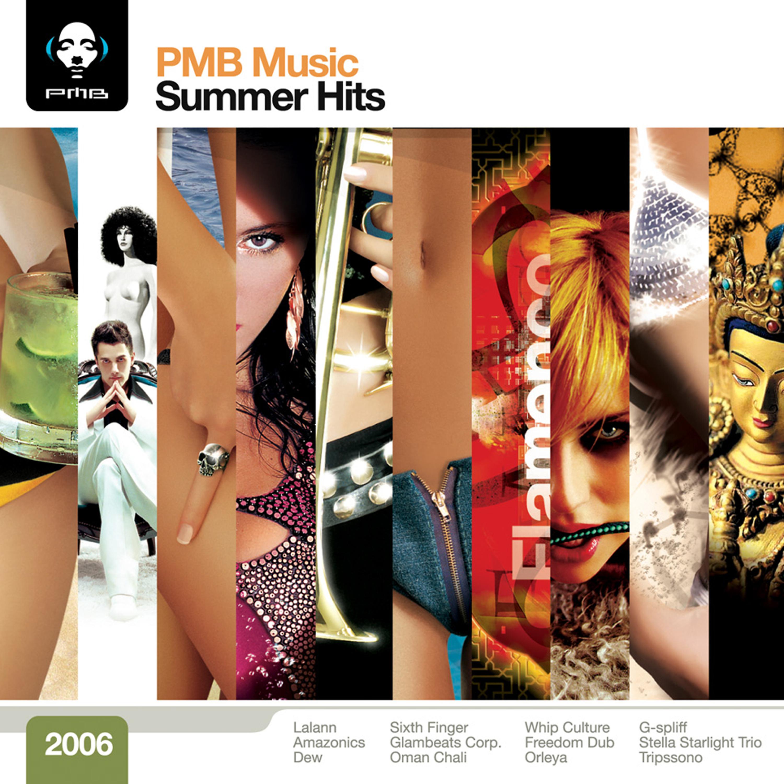 Постер альбома Music Brokers - Summer Hits 2006 (Digital Only)