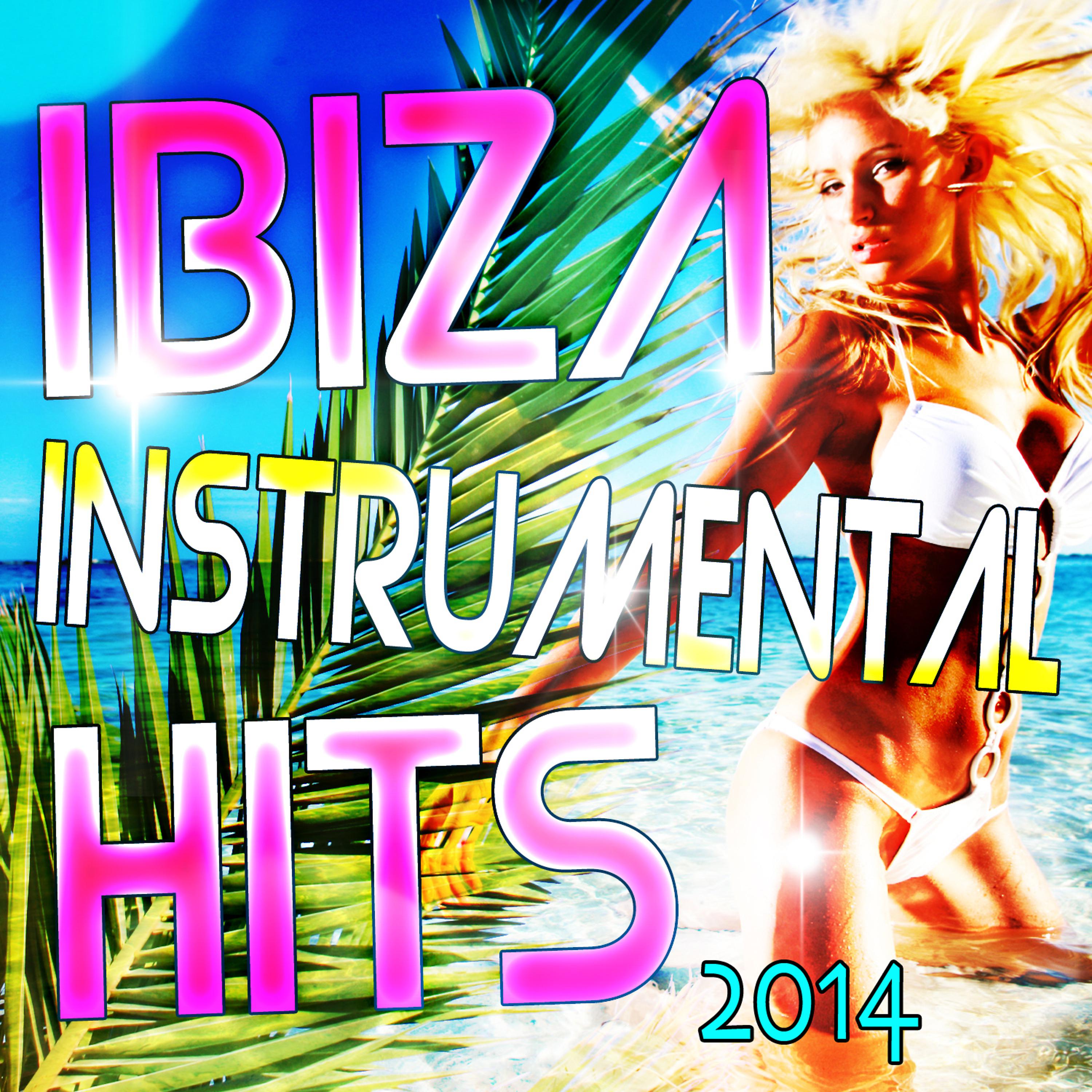 Постер альбома Ibiza Instrumental Hits 2014