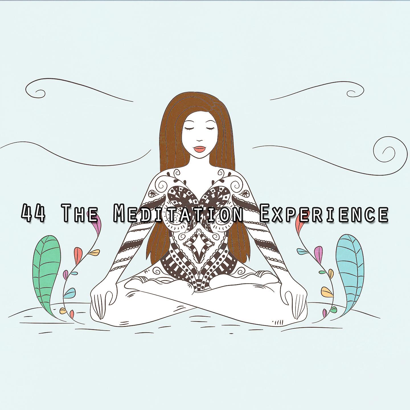 Постер альбома !!!! 44 Опыт медитации !!!!