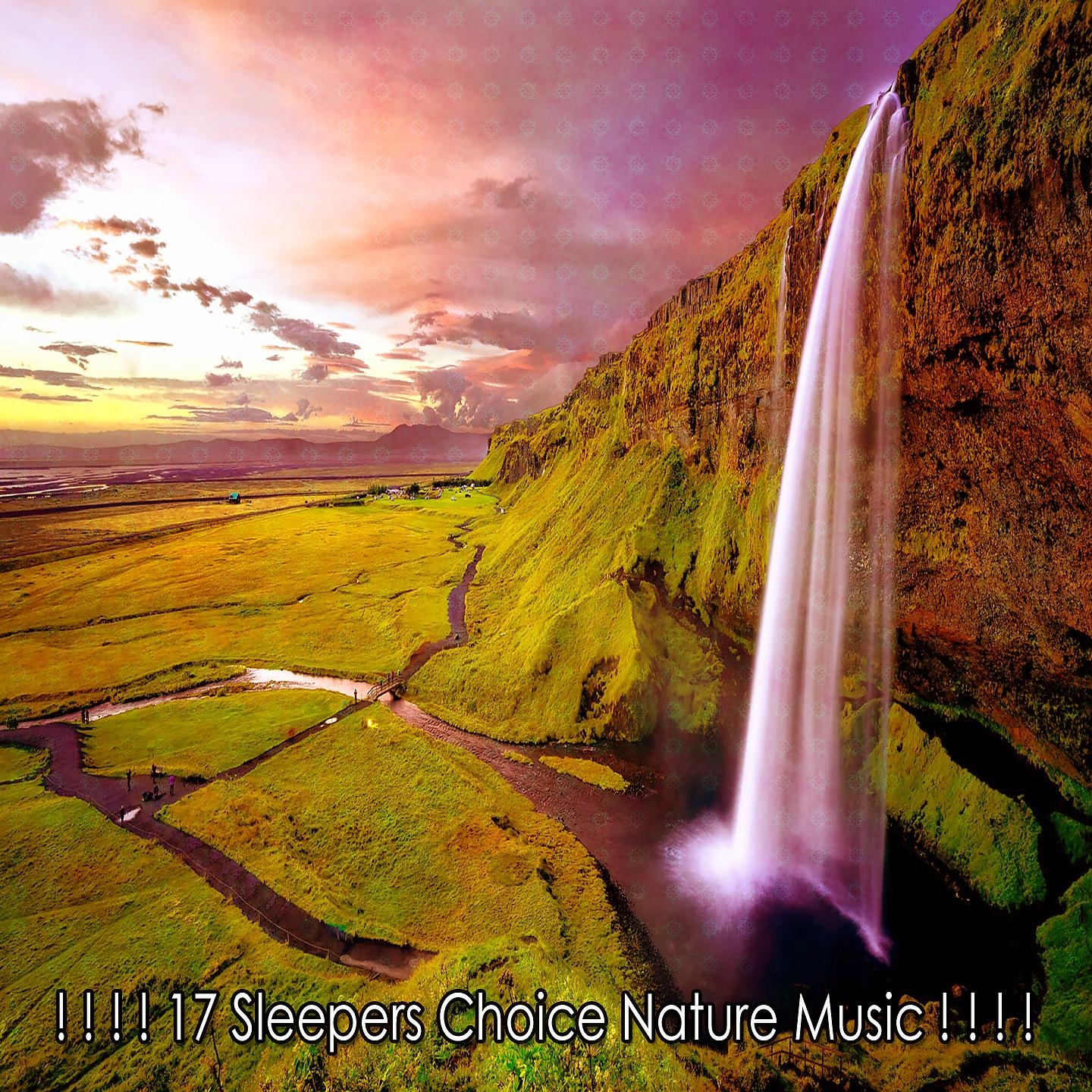 Постер альбома ! ! ! ! 17 Sleepers Choice Nature Music ! ! ! !