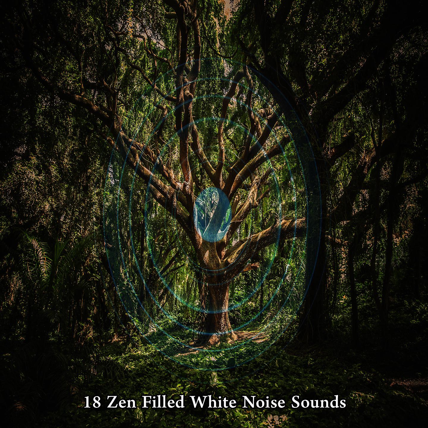 Постер альбома 18 Zen Filled White Noise Sounds