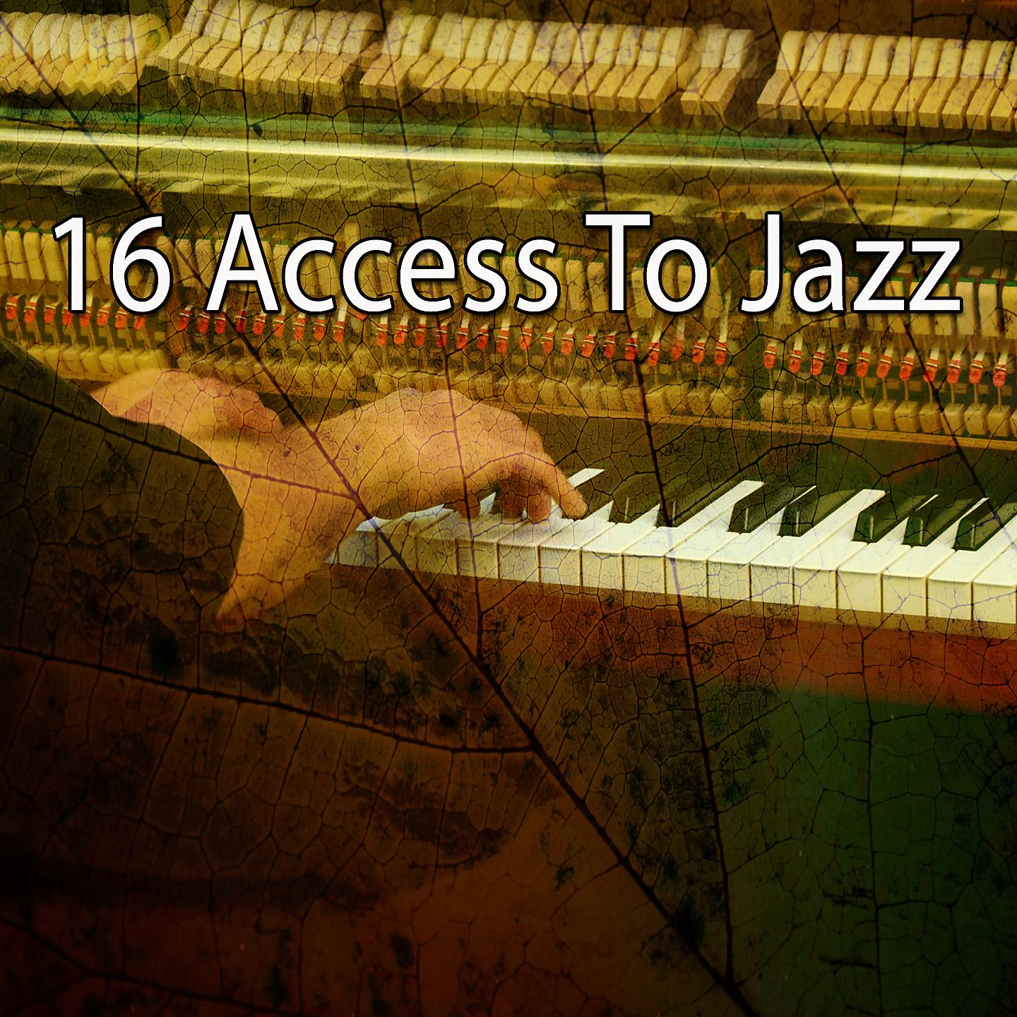 Постер альбома 16 Доступ к джазу