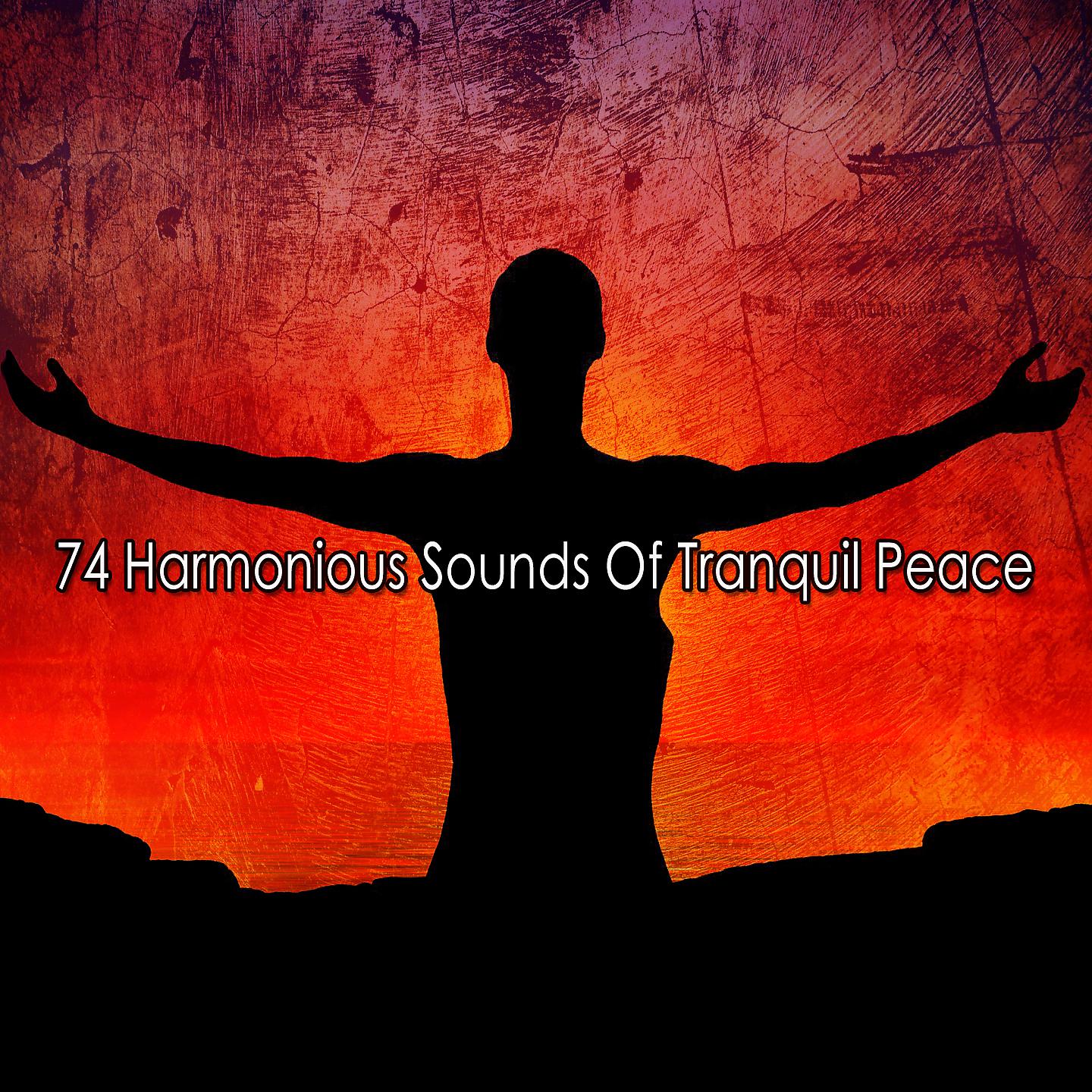 Постер альбома 74 Гармоничных Звука Безмятежного Покоя