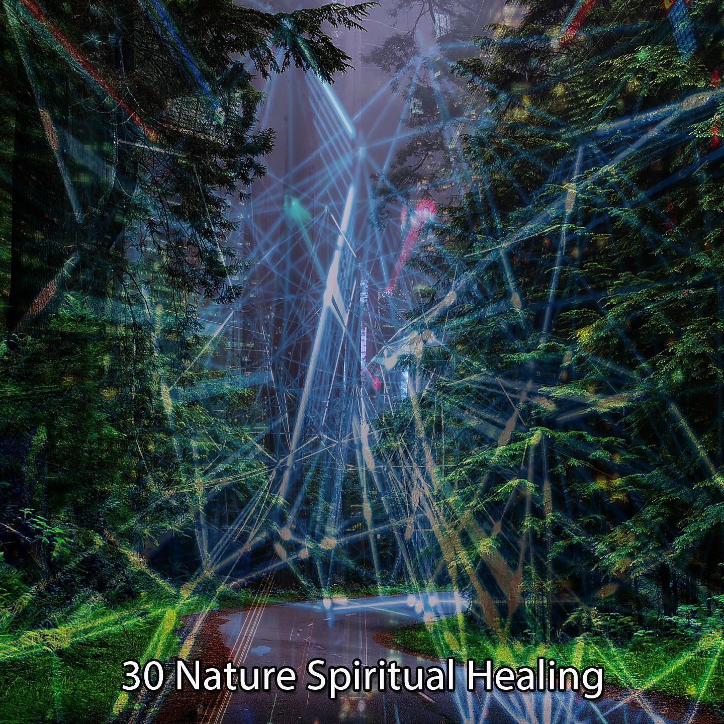Постер альбома !!!! 30 Природа Духовное Исцеление!!!!