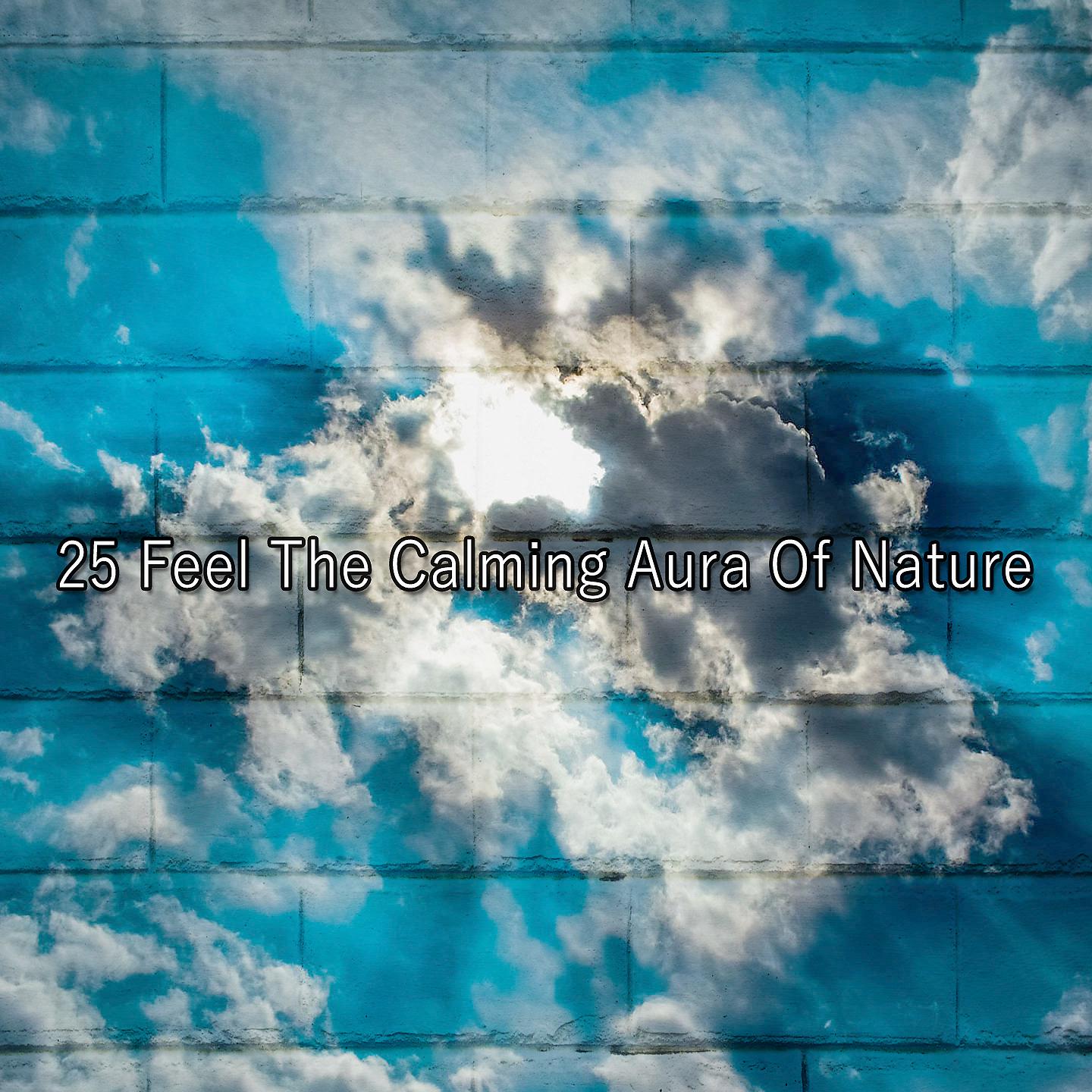 Постер альбома 25 Почувствуйте успокаивающую ауру природы