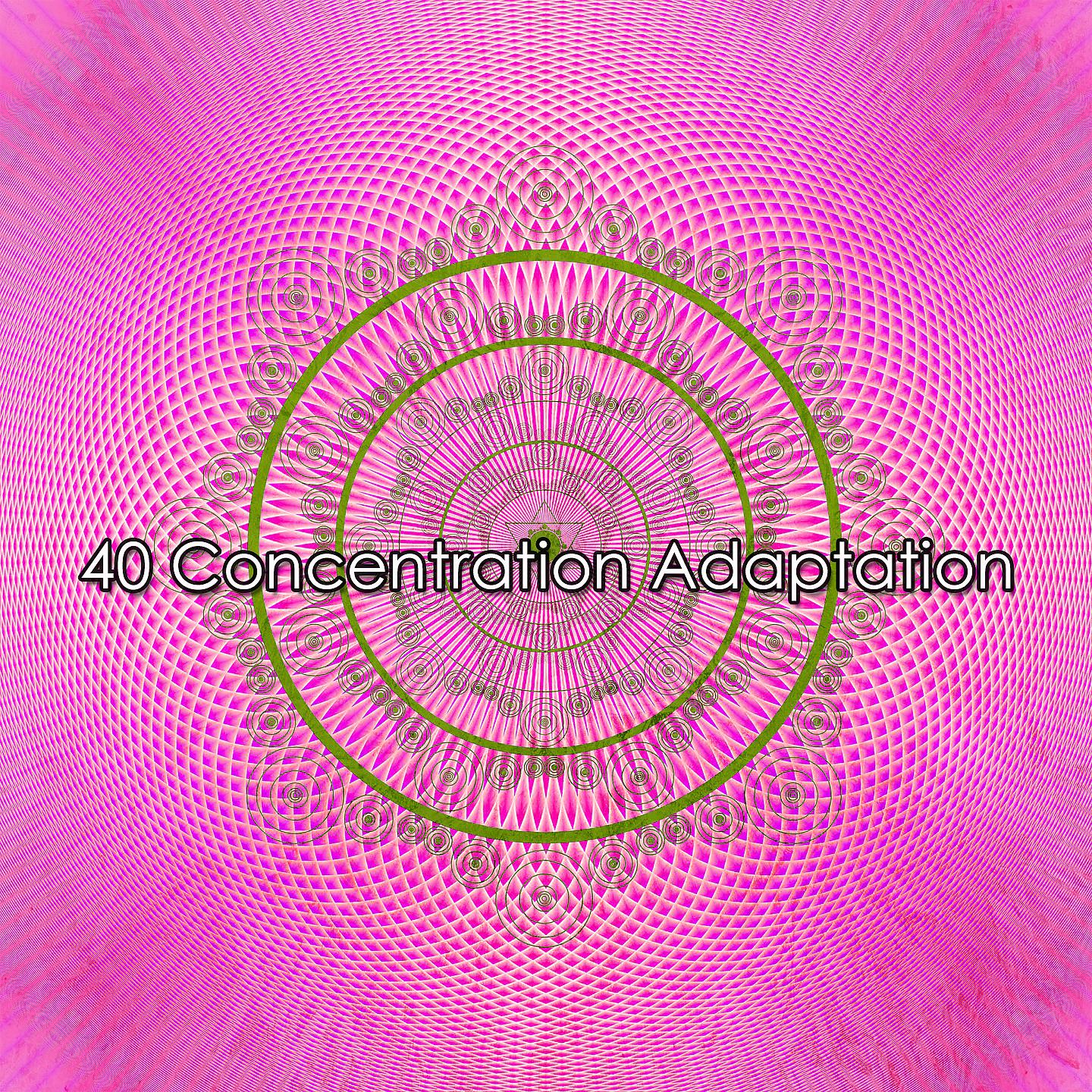 Постер альбома 40 Адаптация концентрации