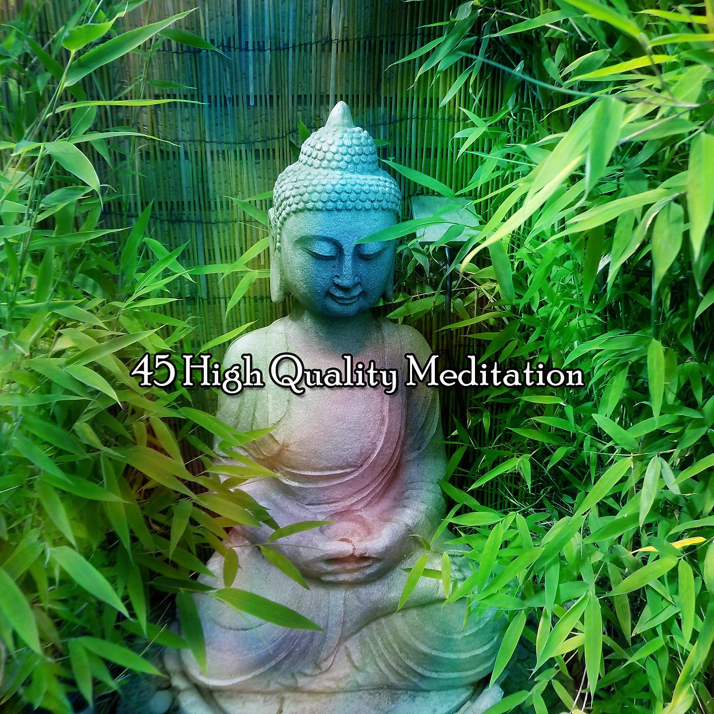 Постер альбома 45 Медитация высокого качества
