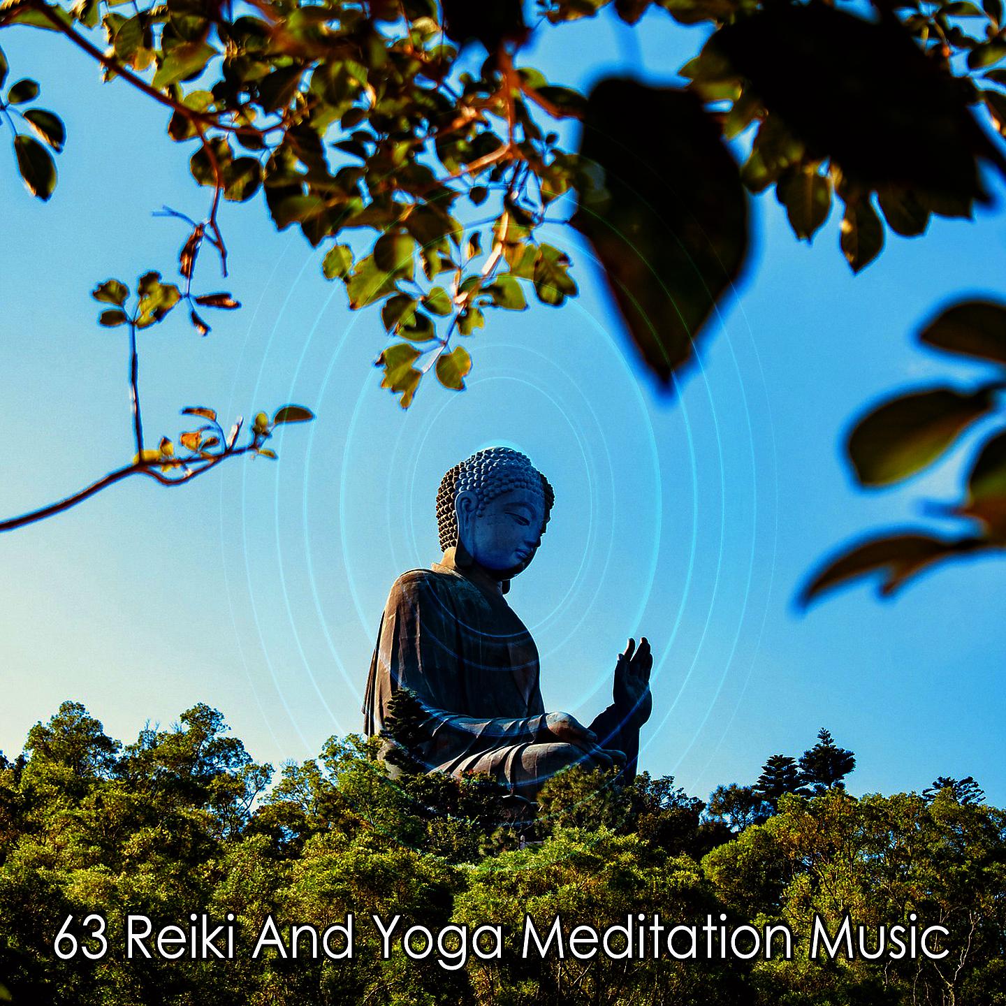Постер альбома !!!! 63 Музыка для медитации Рейки и йоги !!!!