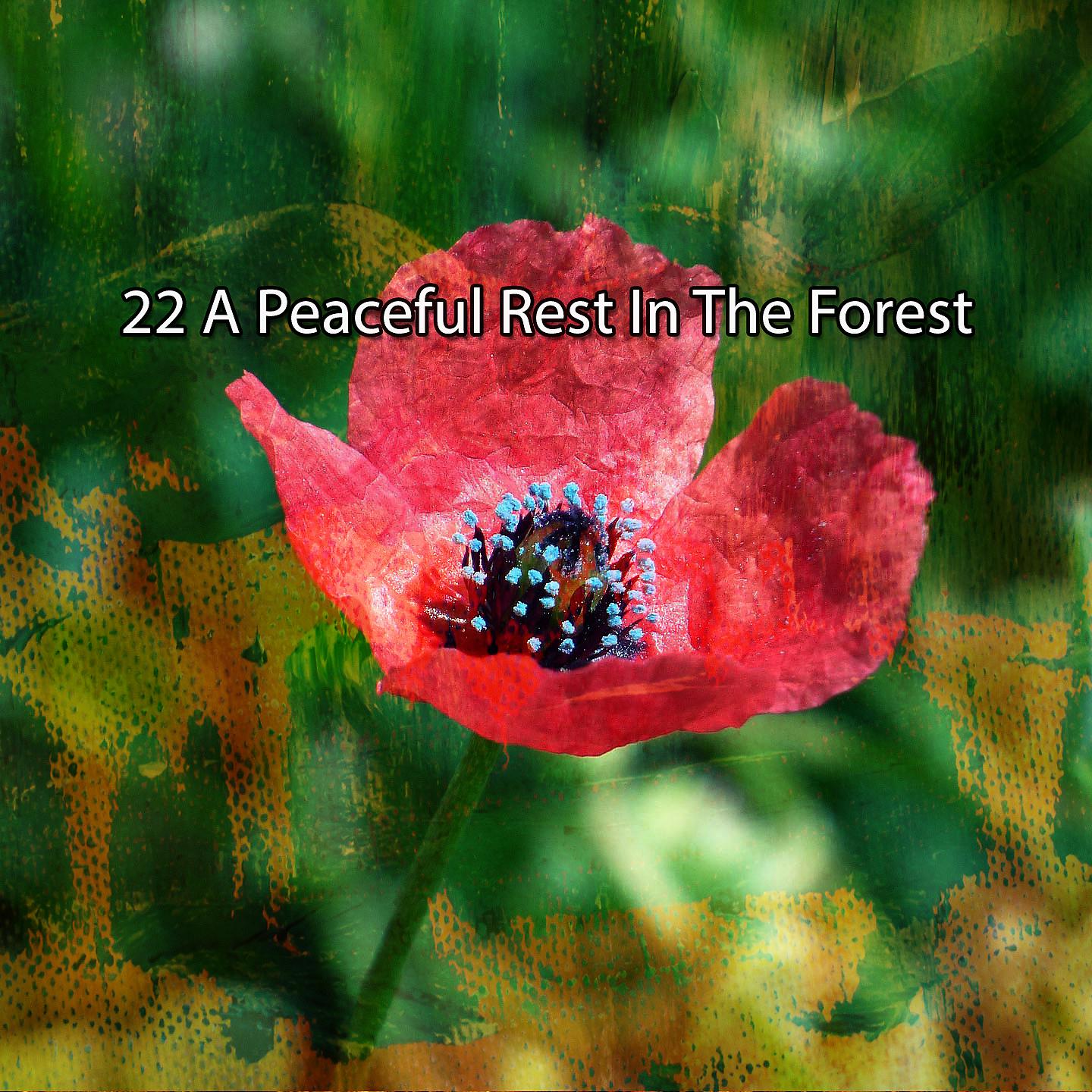 Постер альбома 22 Мирный отдых в лесу