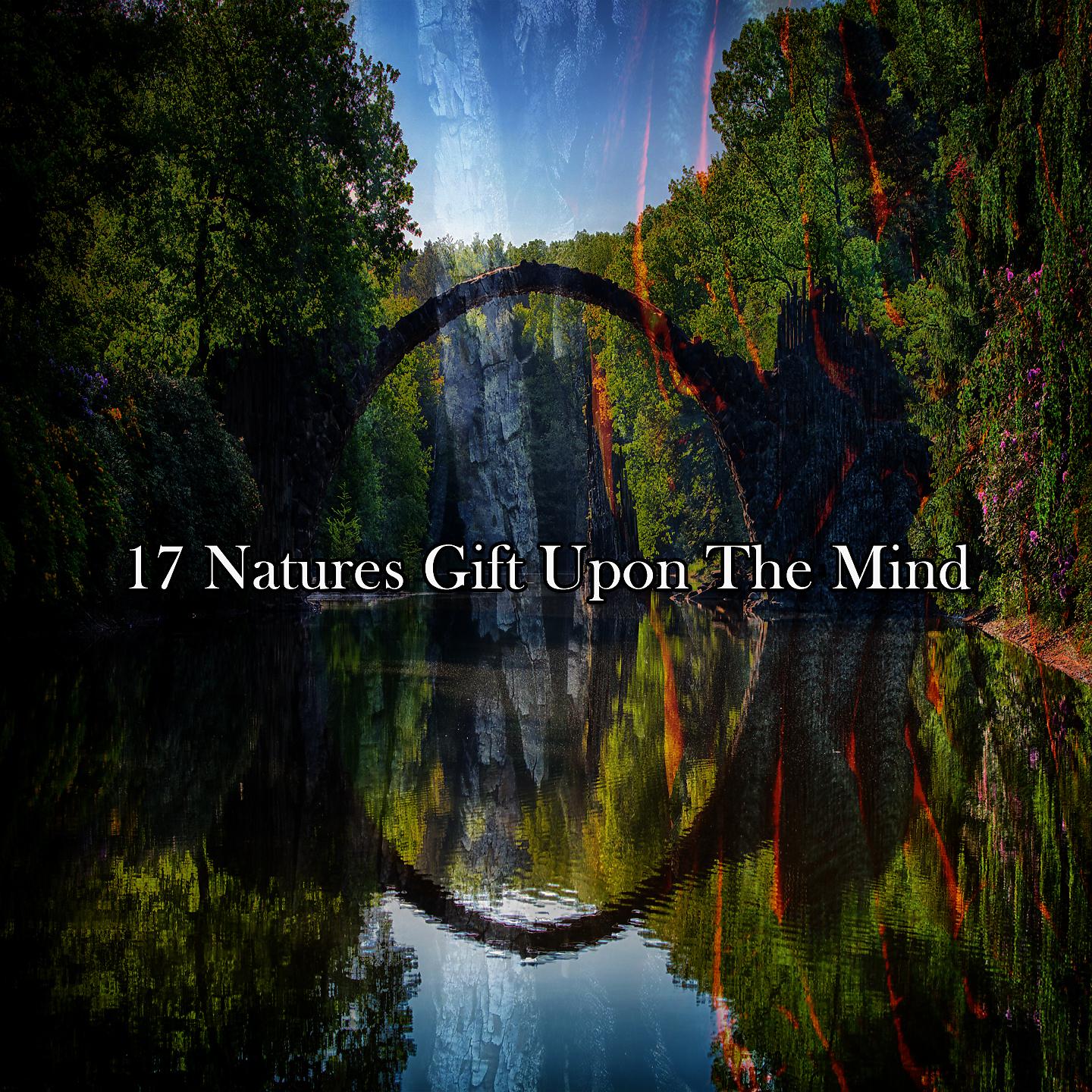 Постер альбома !!!! 17 подарков природы на разум !!!!