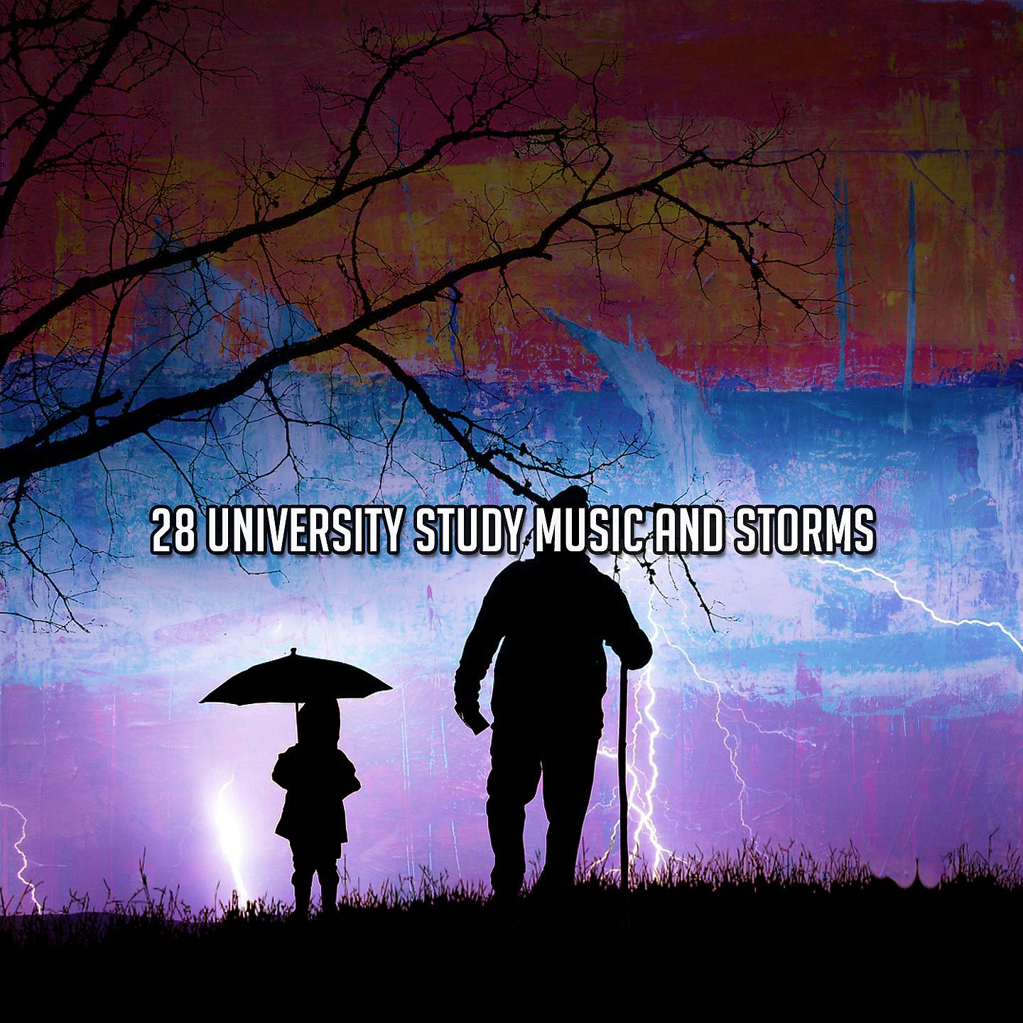 Постер альбома 28 Учеба в университете Музыка и бури