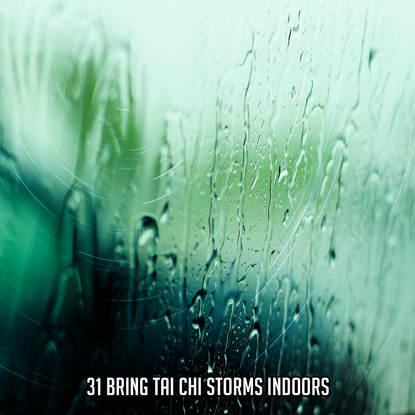 Постер альбома 31 Принесите штормы тайцзи в помещении