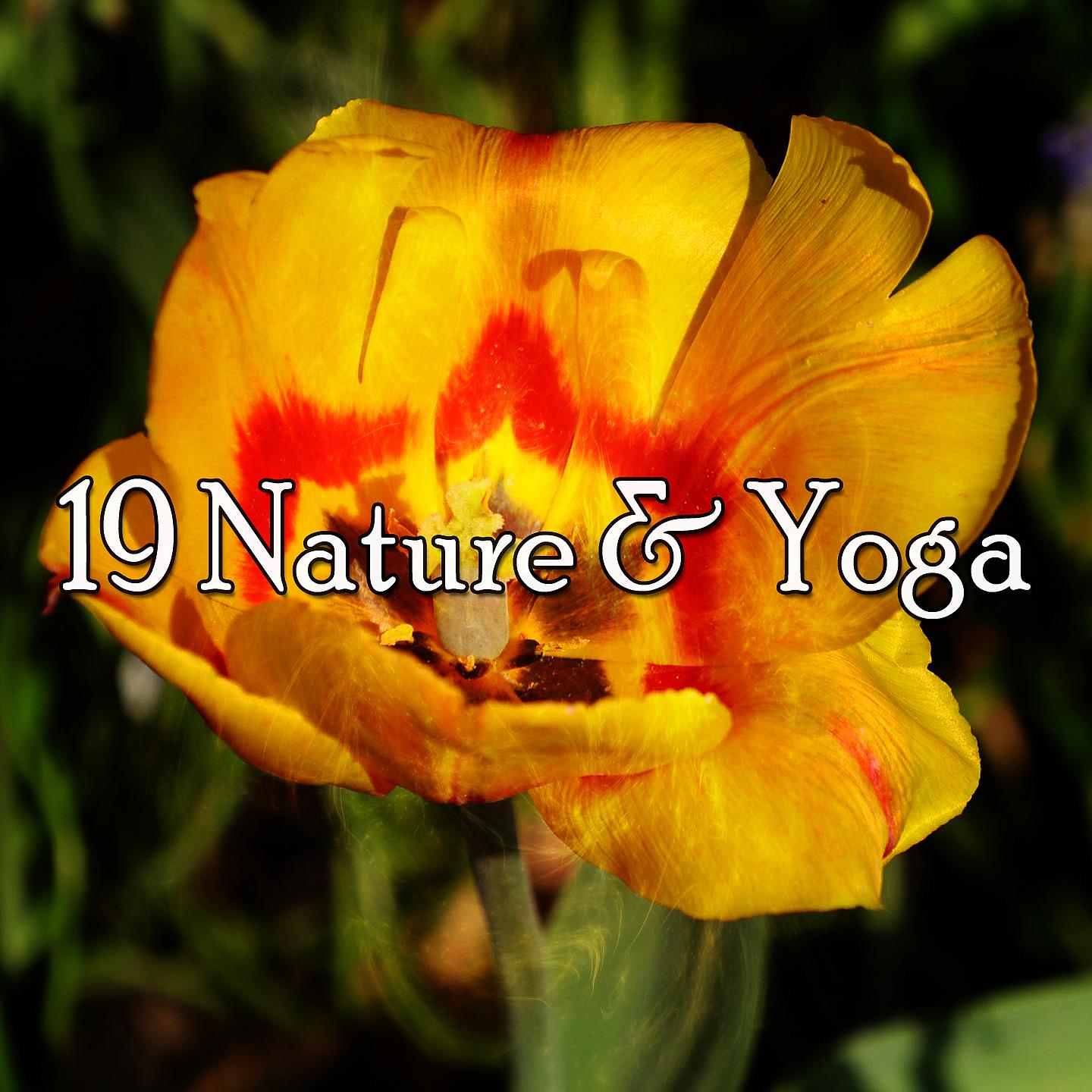Постер альбома 19 Природа и йога
