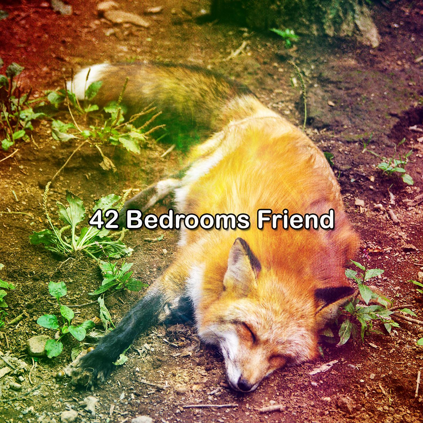 Постер альбома 42 спальни друг