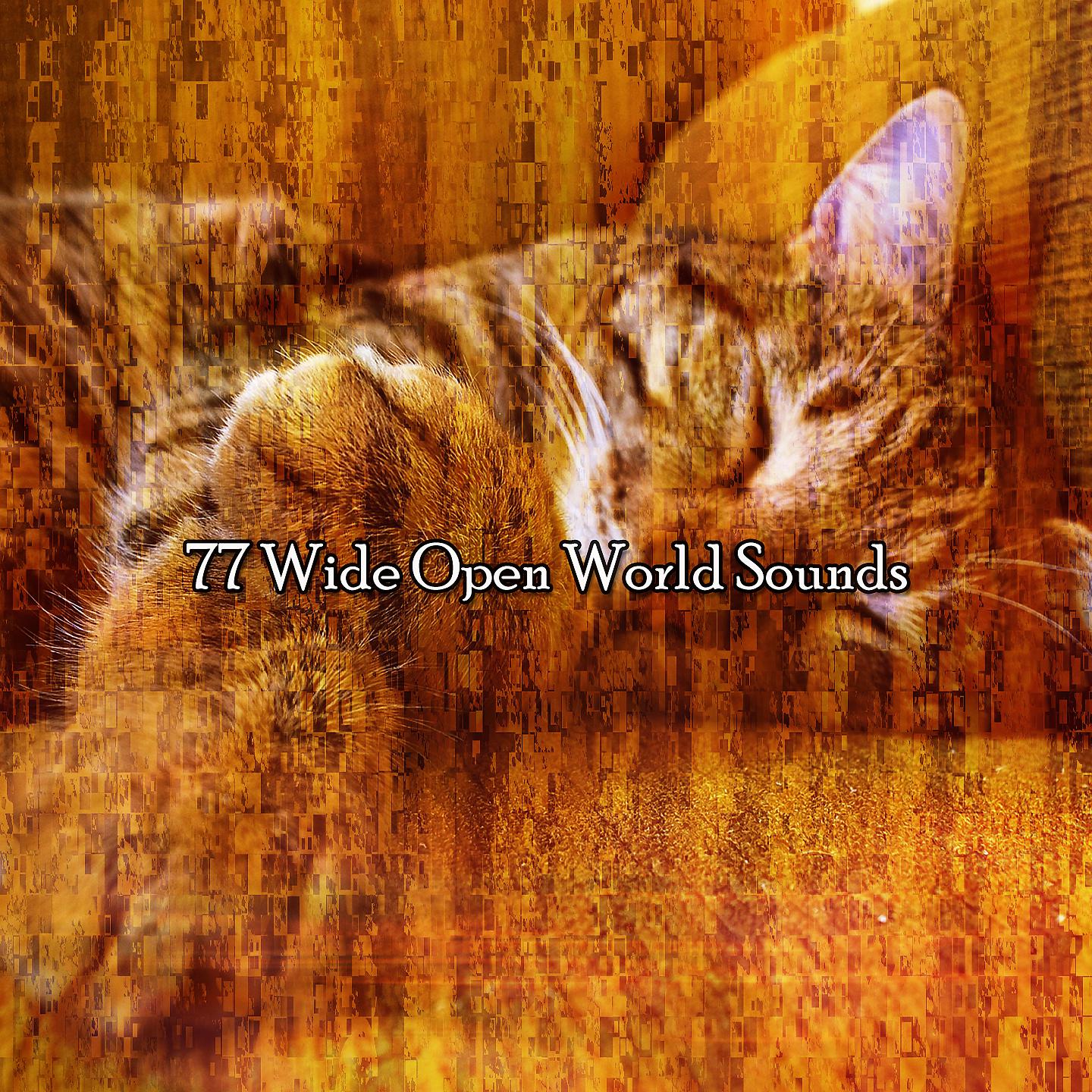 Постер альбома 77 широко открытых звуков мира