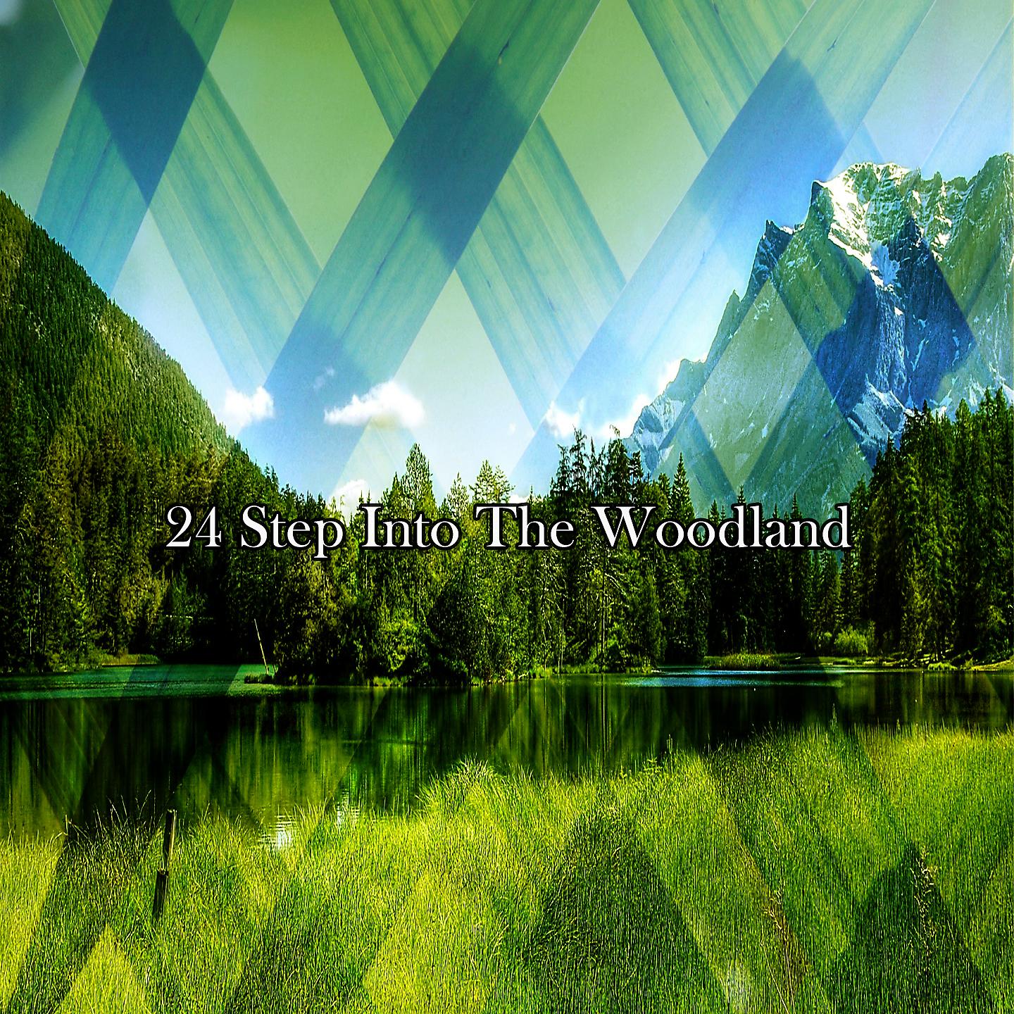Постер альбома 24 Шаг в лес