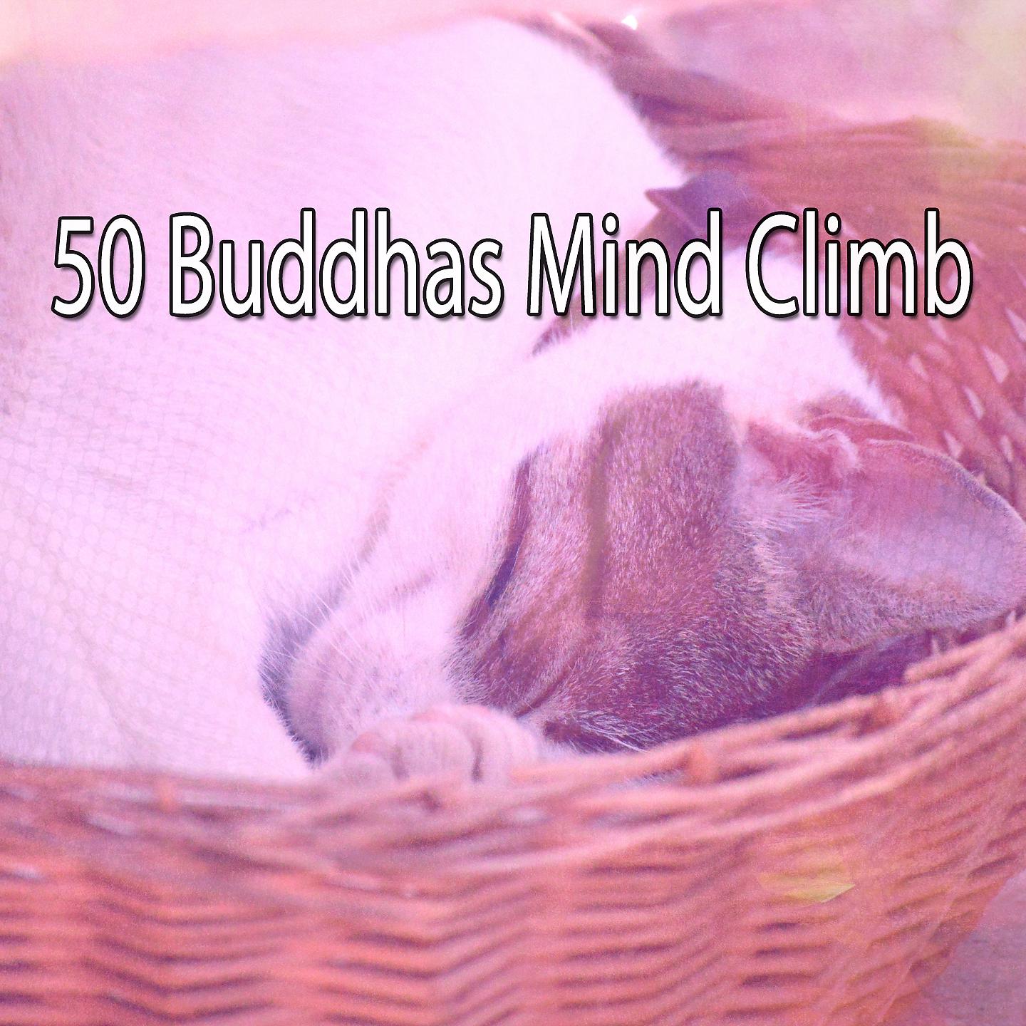 Постер альбома Восхождение на разум 50 Будд