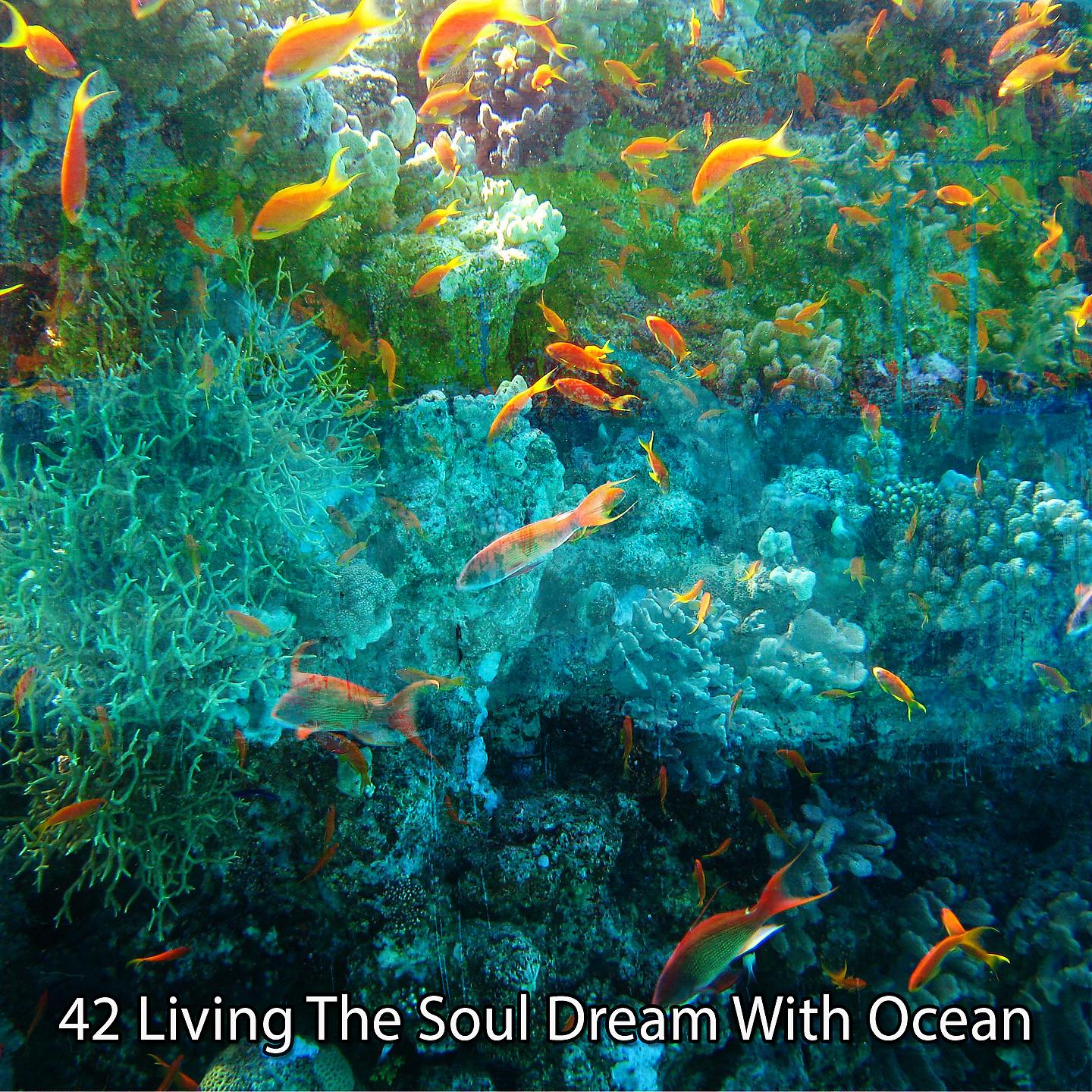 Постер альбома 42 Жизнь мечты души с океаном
