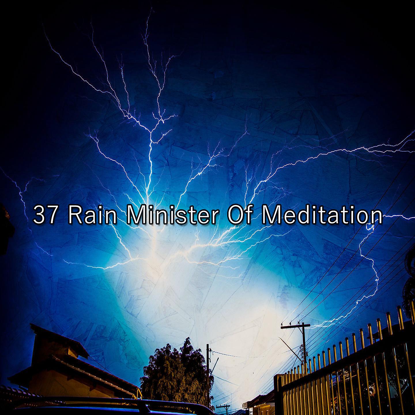 Постер альбома 37 Дождь Министр Медитации
