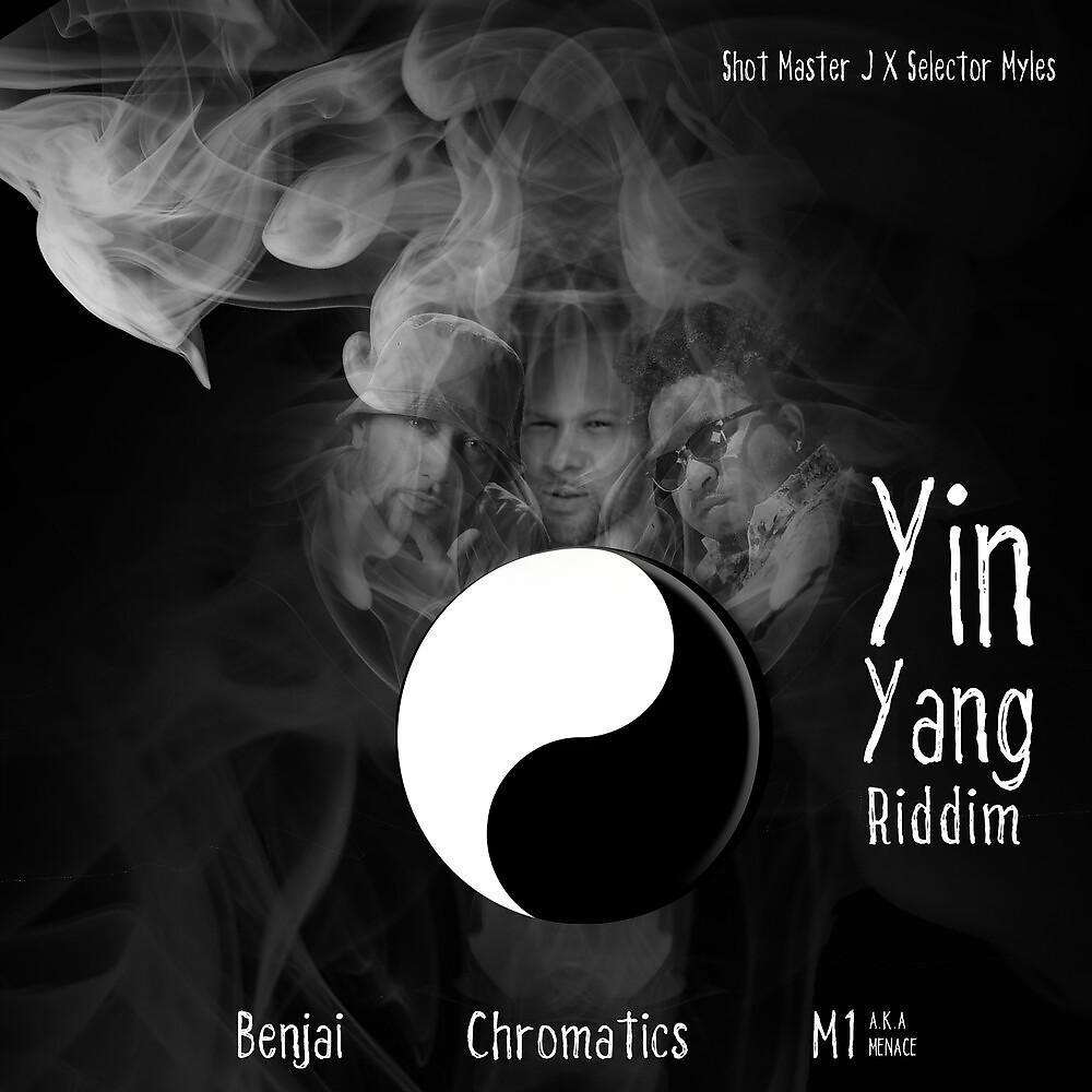 Постер альбома Yin Yang Riddim