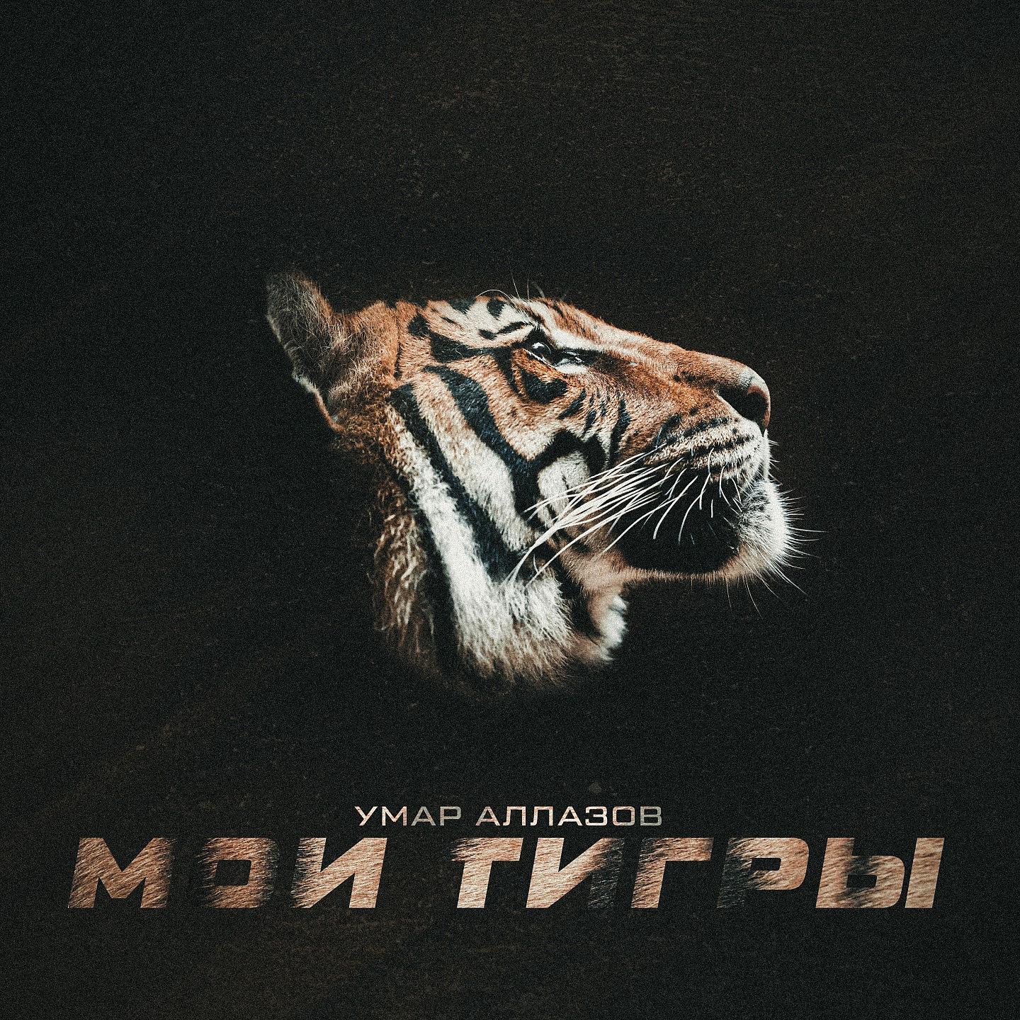 Постер альбома Мои тигры