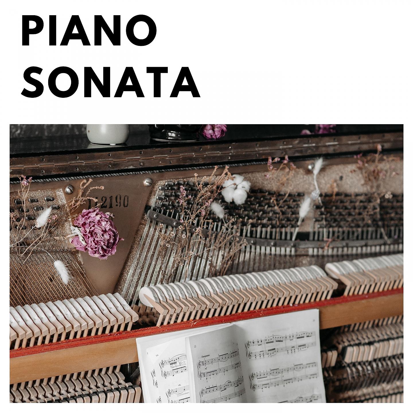 Постер альбома Piano Sonata