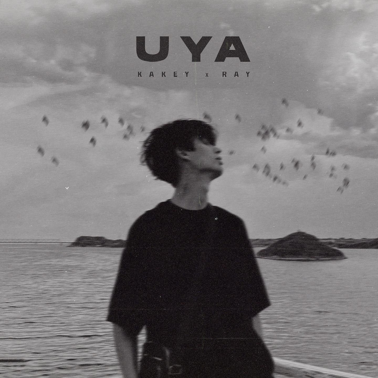 Постер альбома UYA