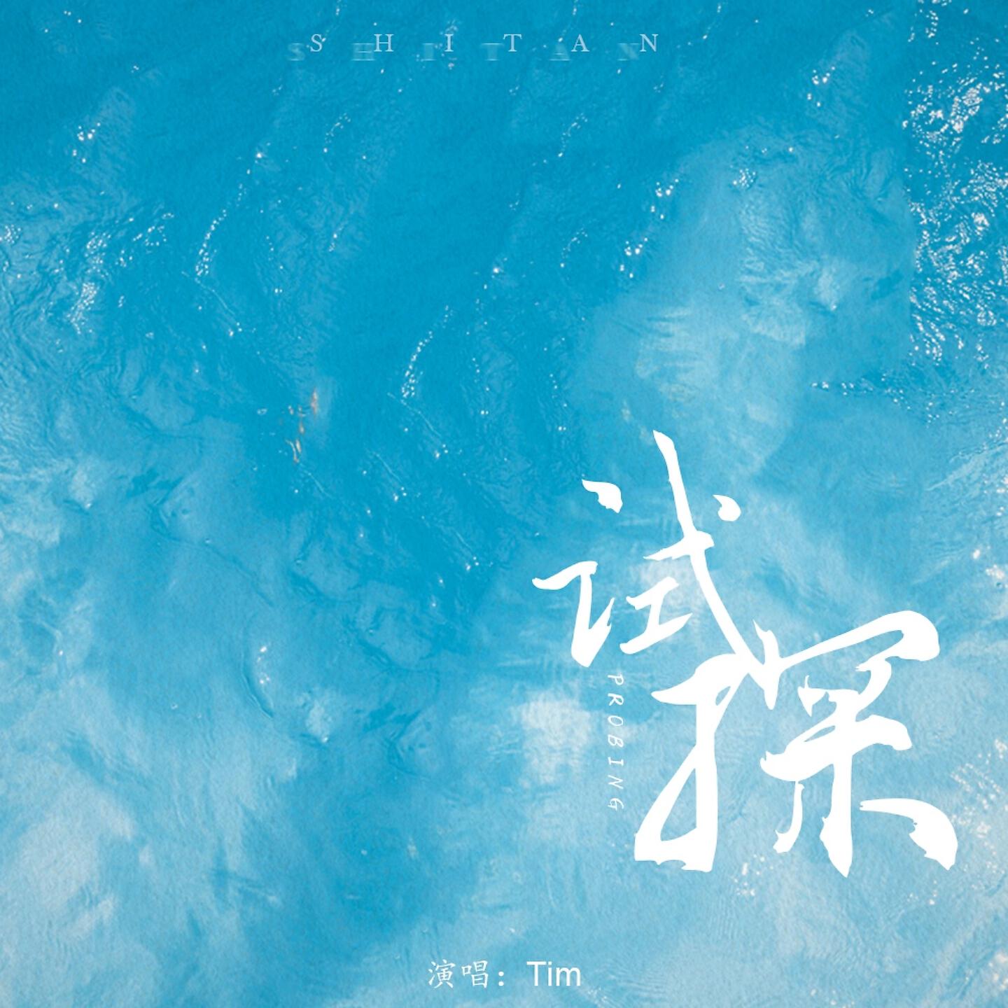 TIM - 试探