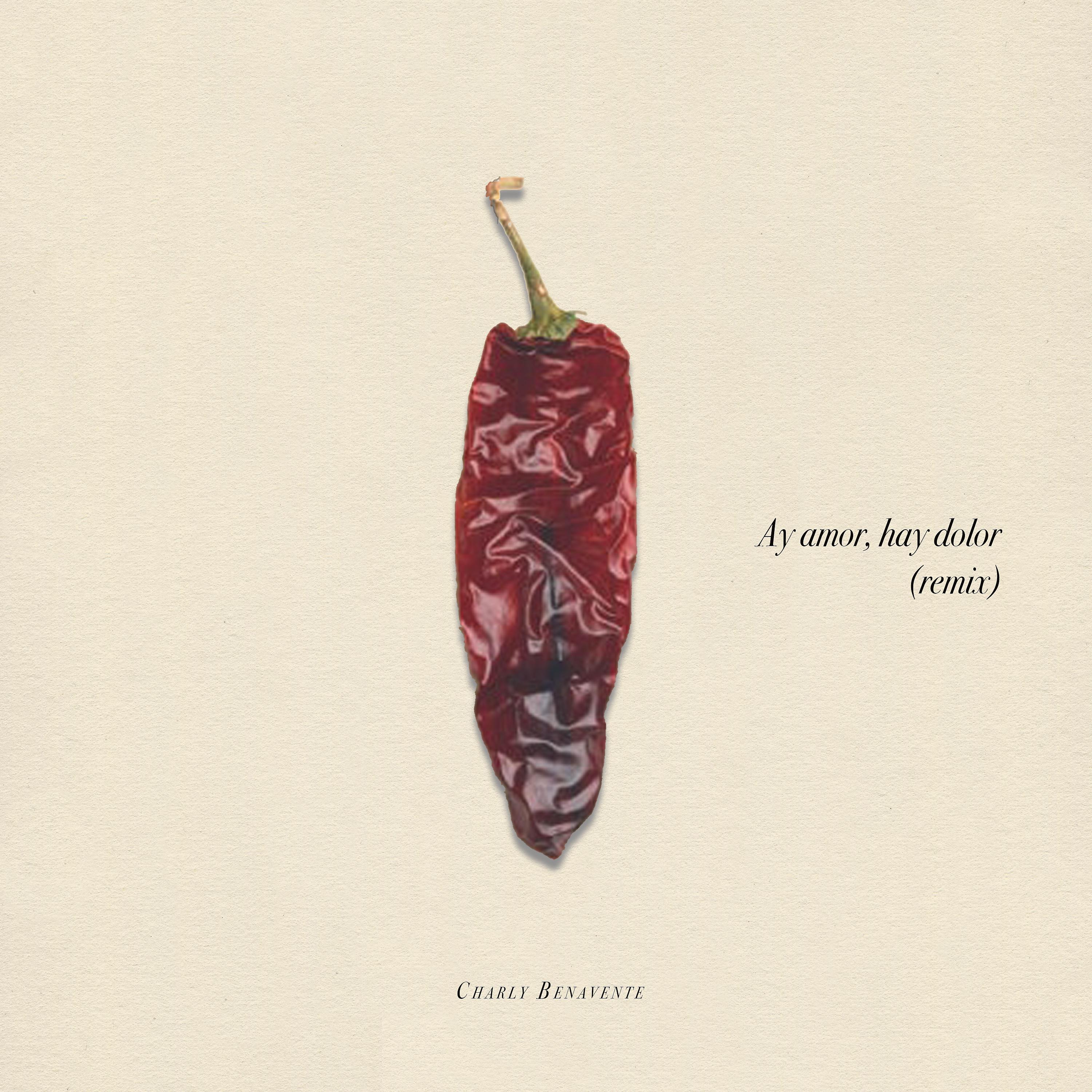 Постер альбома Ay amor, hay dolor (Remix)