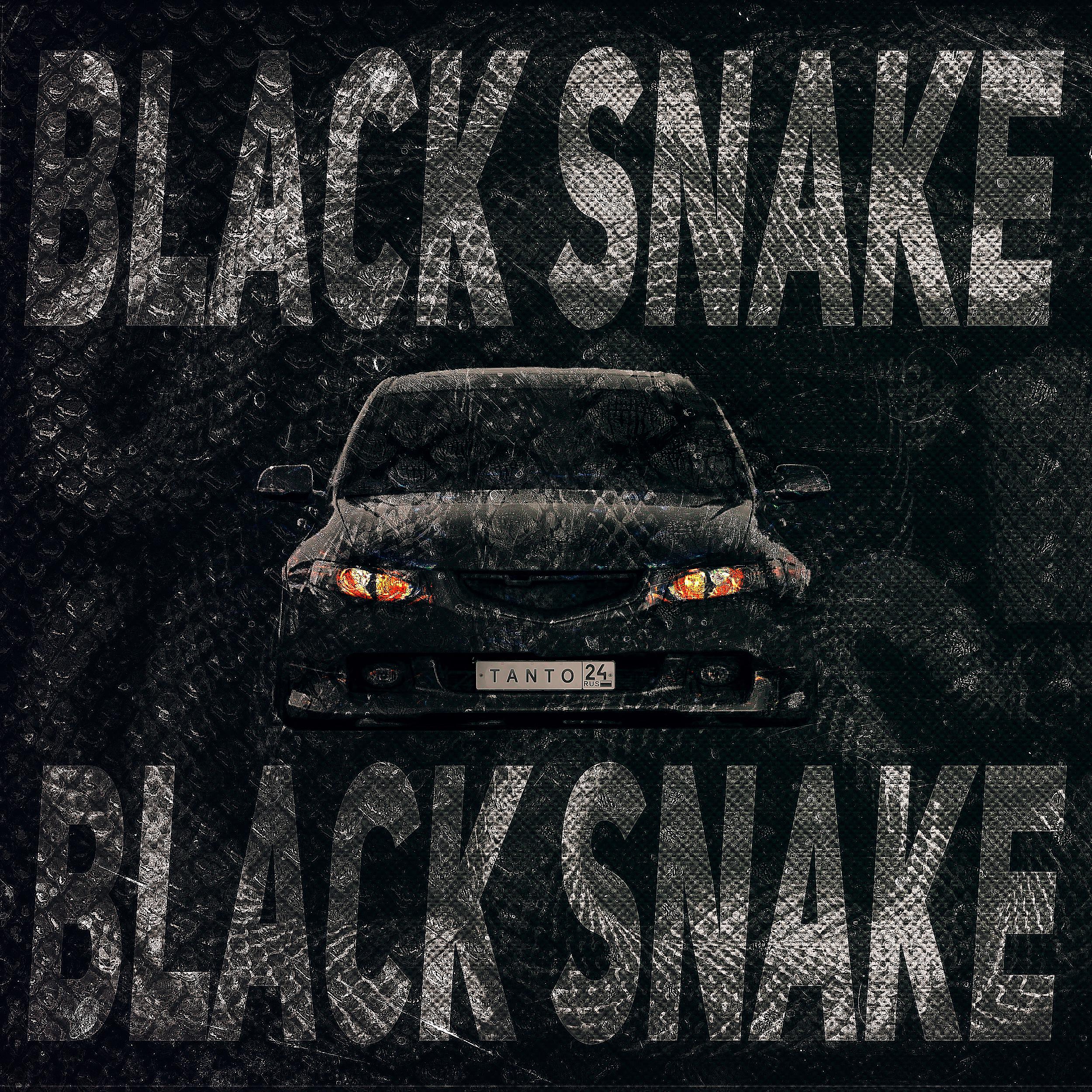 Постер альбома Black Snake
