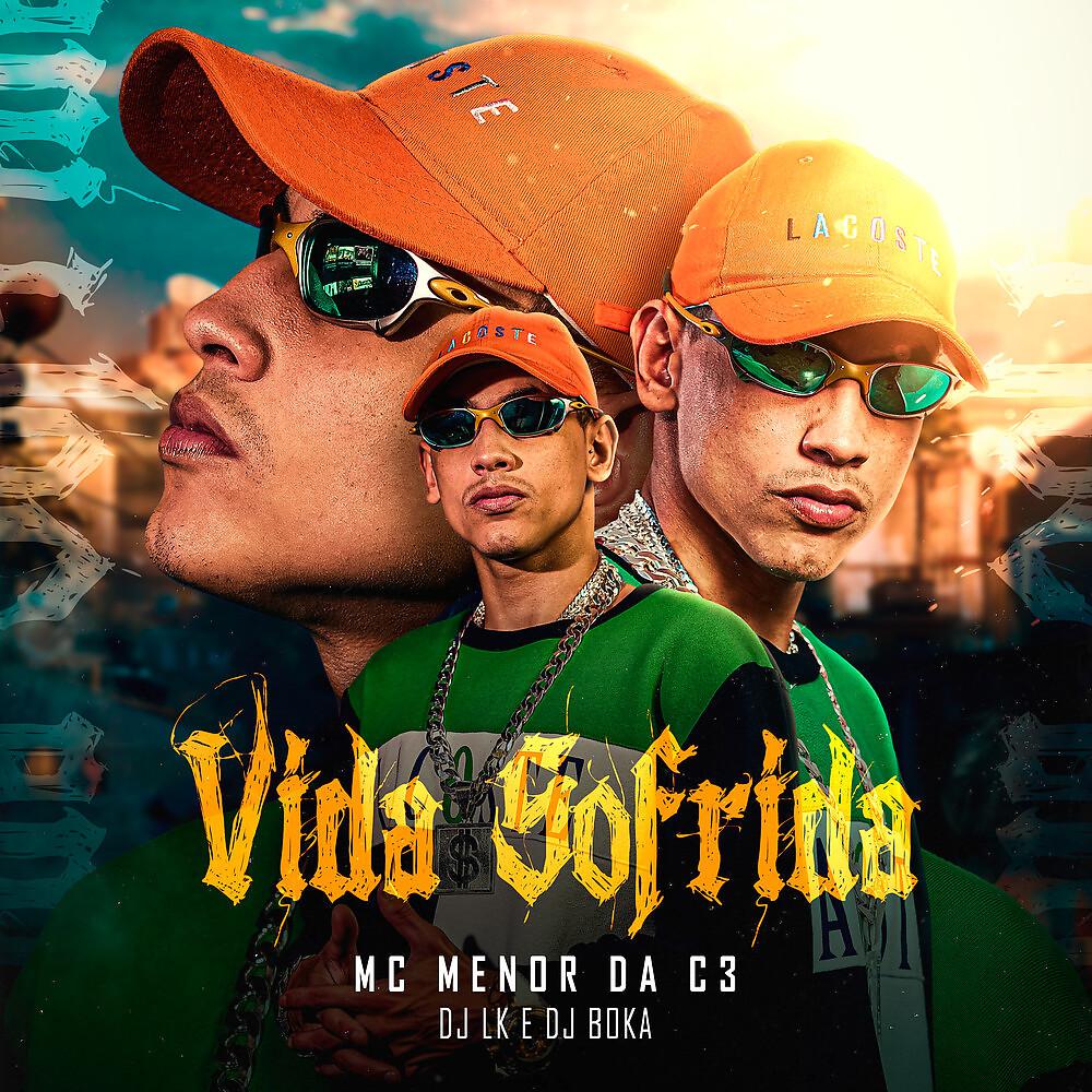 Постер альбома Vida Sofrida