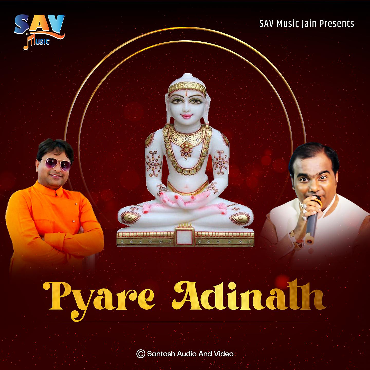 Постер альбома Pyare Adinath