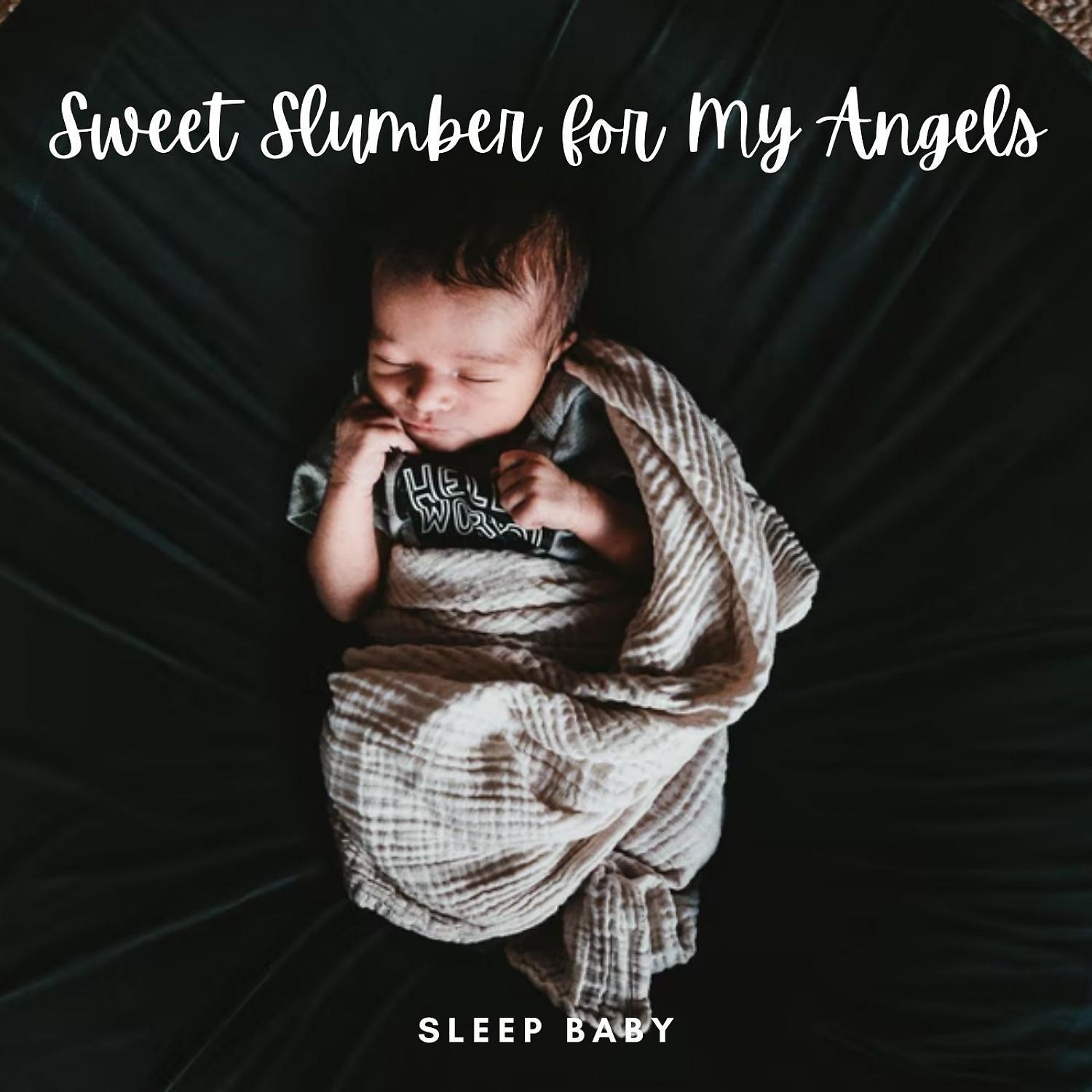 Постер альбома Sleep Baby: Sweet Slumber for My Angels