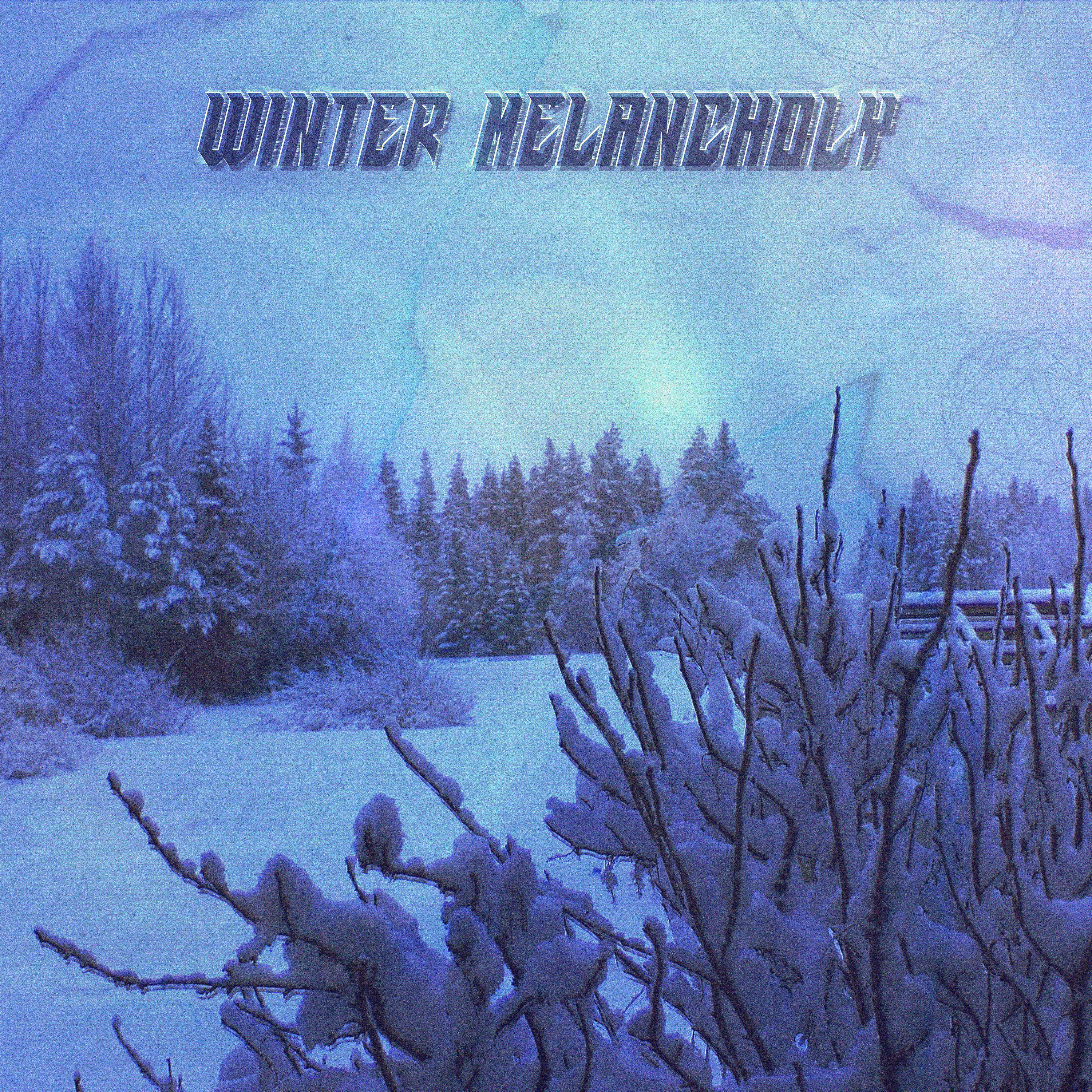 Постер альбома Winter Melancholy