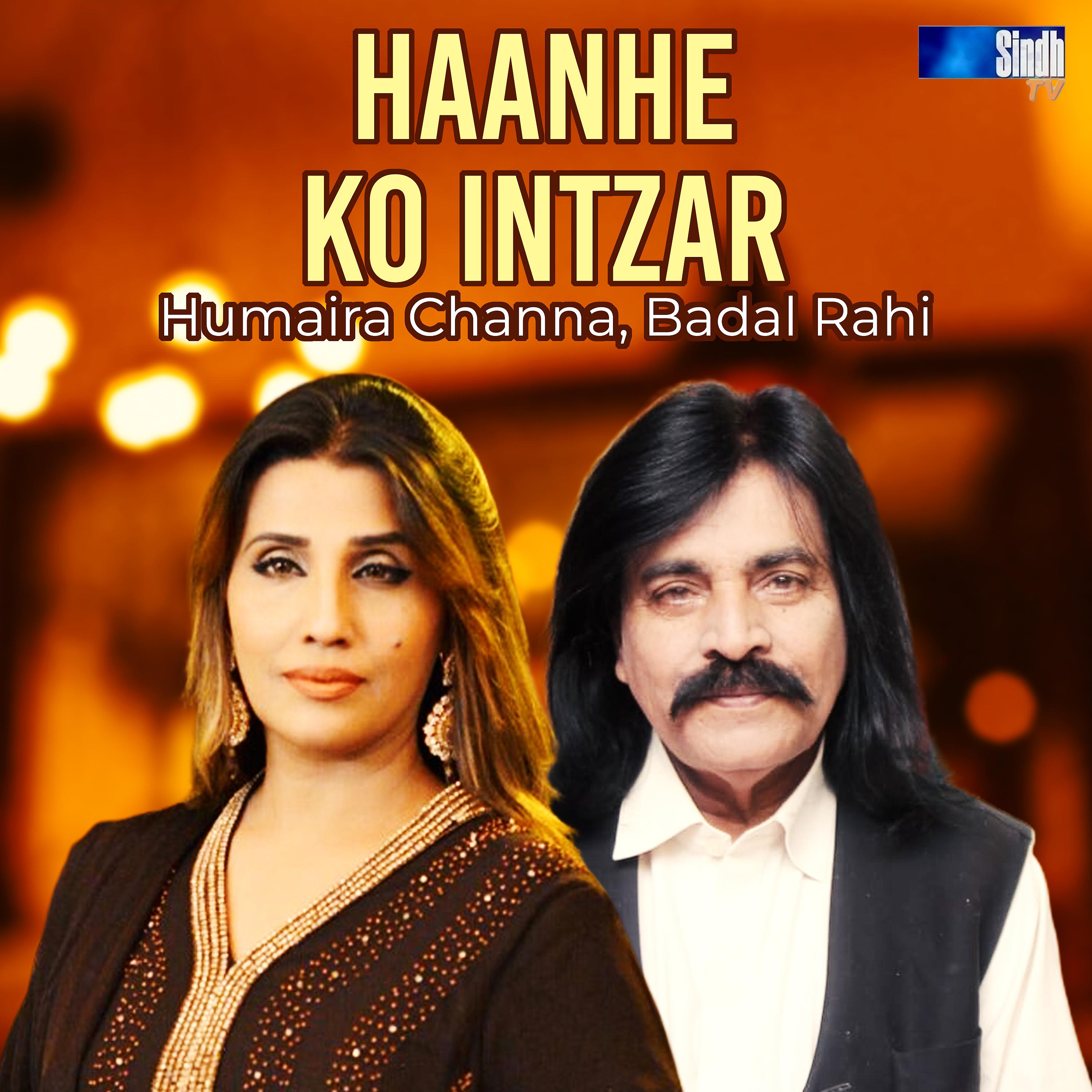 Постер альбома Haanhe Ko Intzar - Single