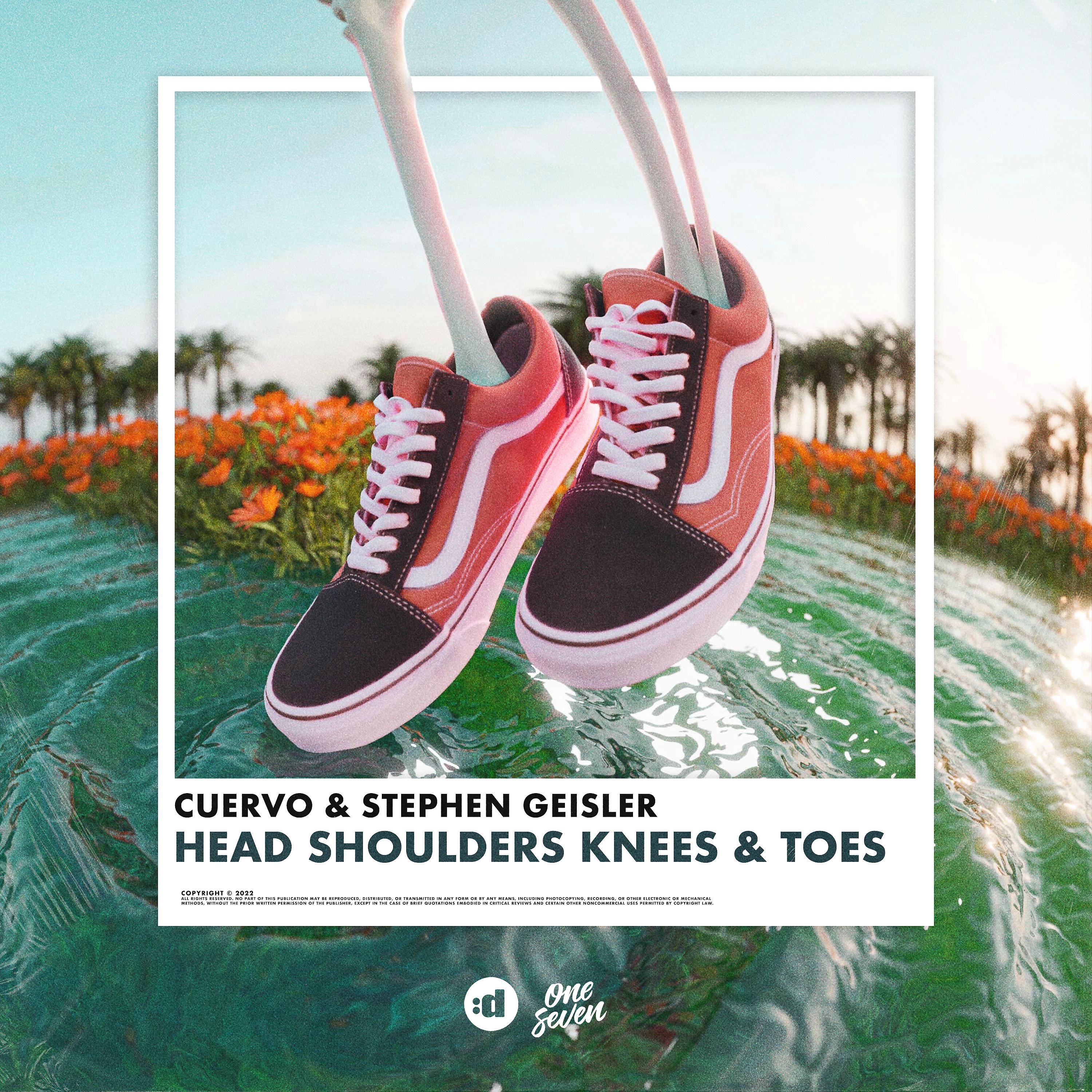 Постер альбома Head Shoulders Knees & Toes
