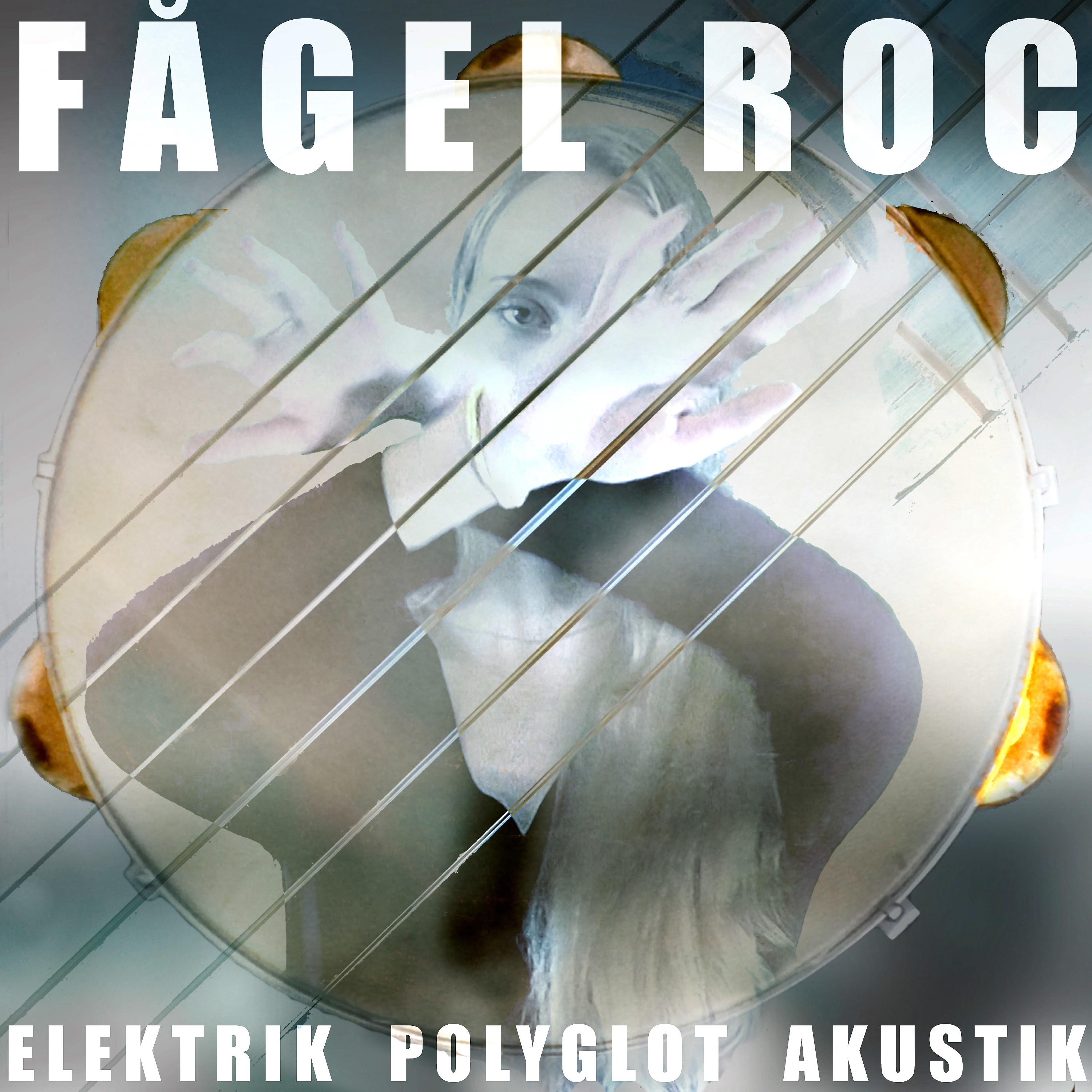 Постер альбома Elektrik Polyglot Akustik
