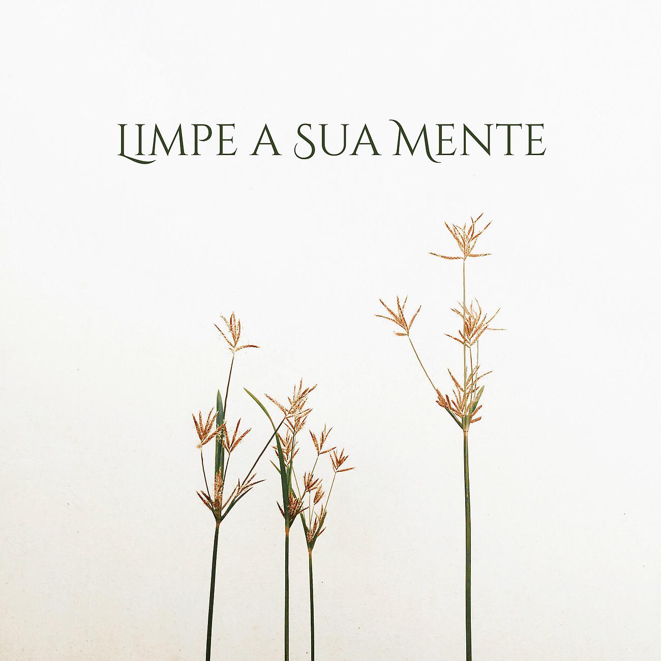 Постер альбома Limpe a Sua Mente