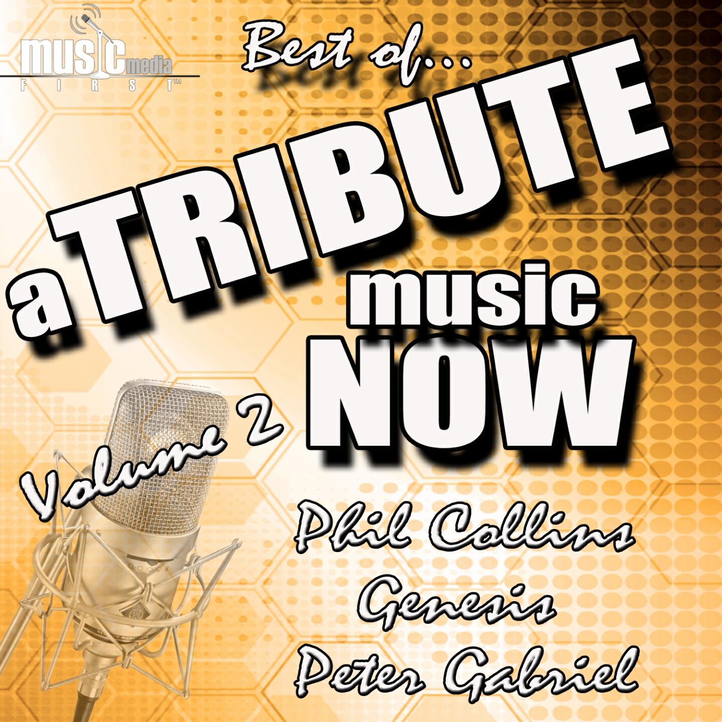 The Tribute Beat - Two Hearts