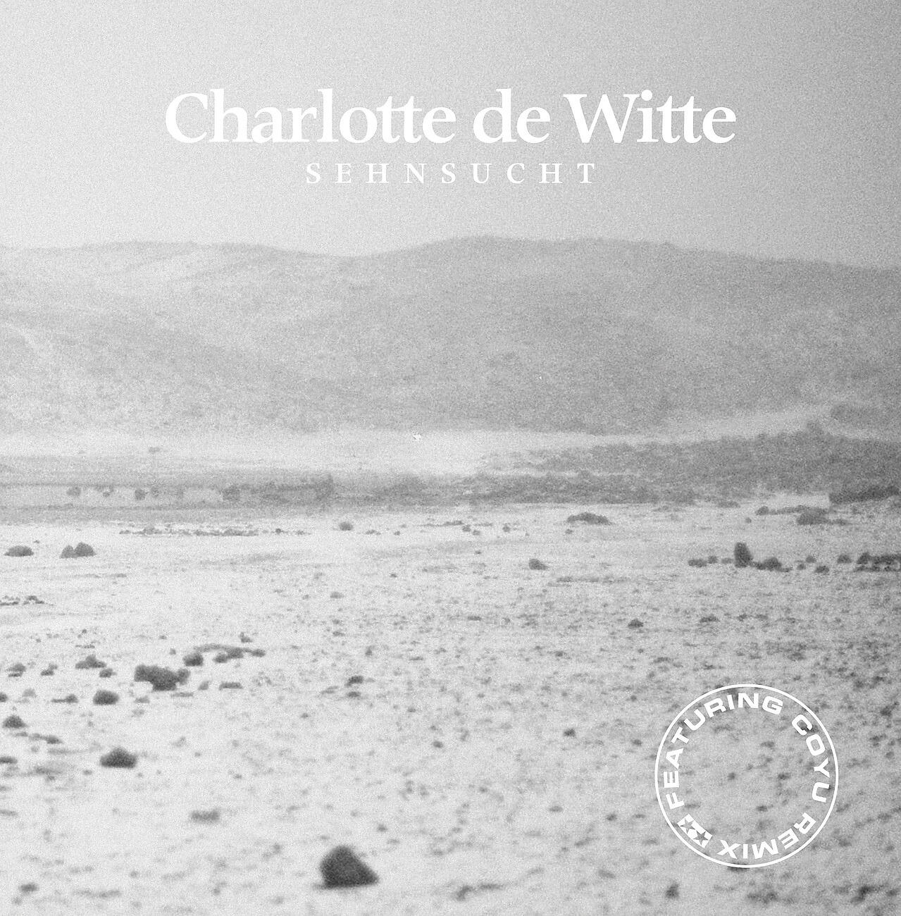 Charlotte De Witte - My Feeling