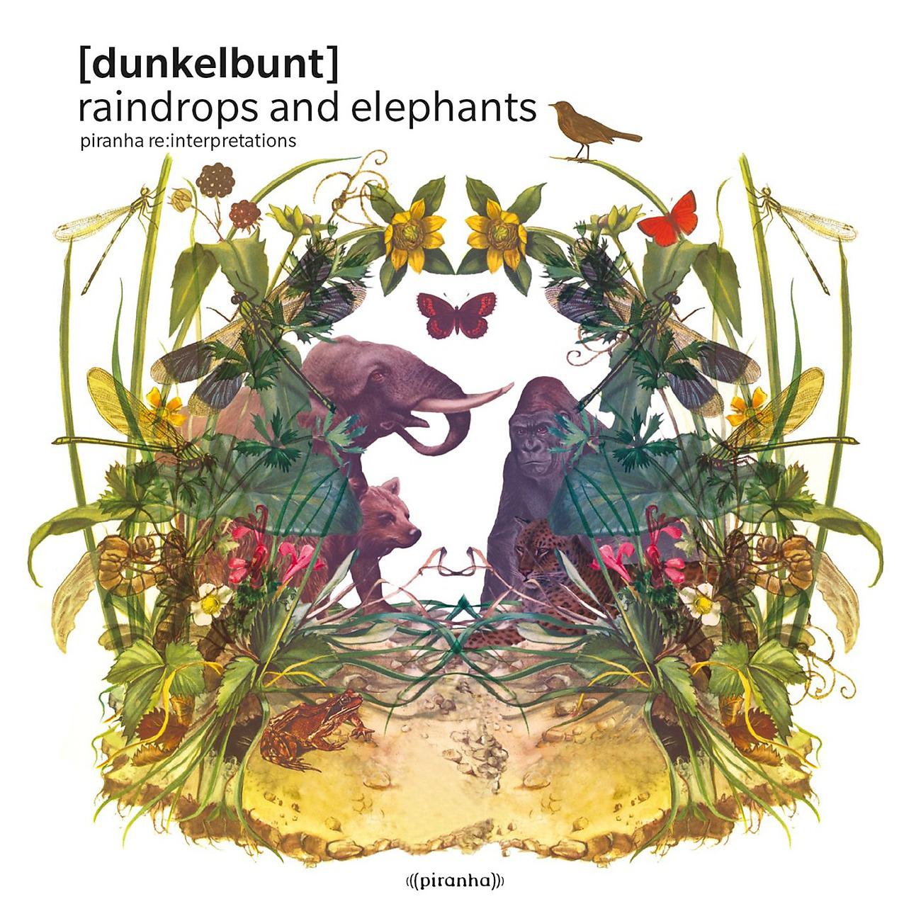 Постер альбома Raindrops And Elephants Piranha Re:Interpretations