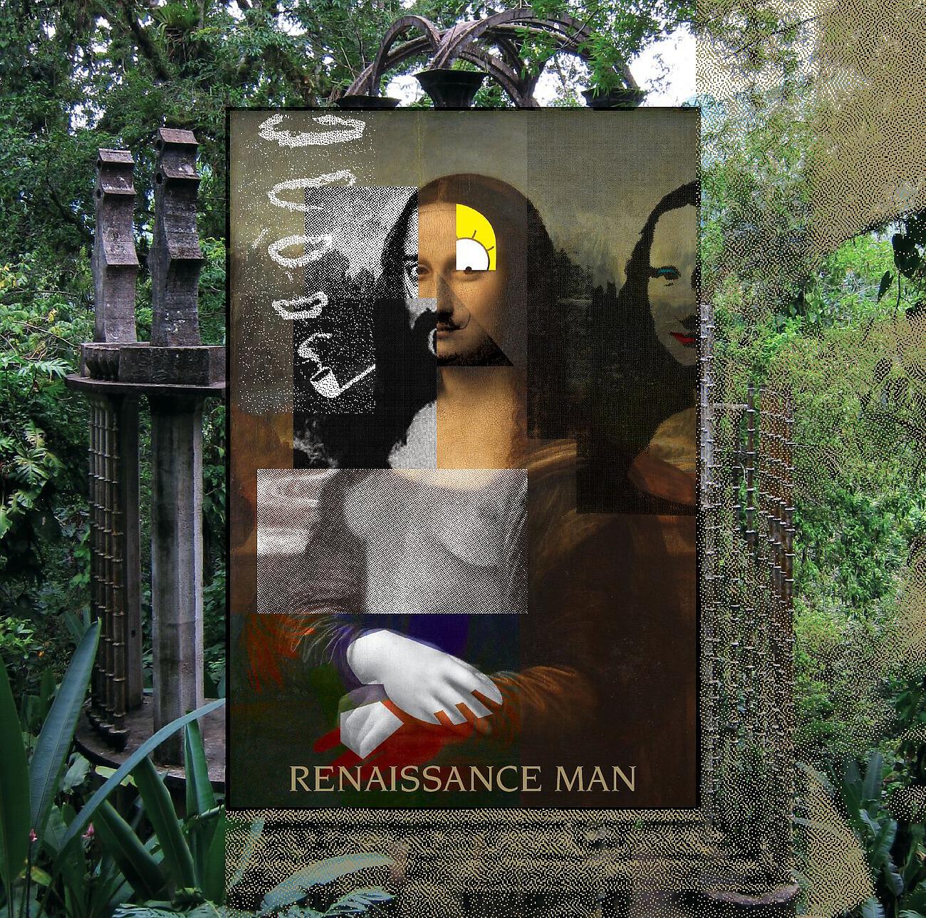 Renaissance Man - Sensemaker