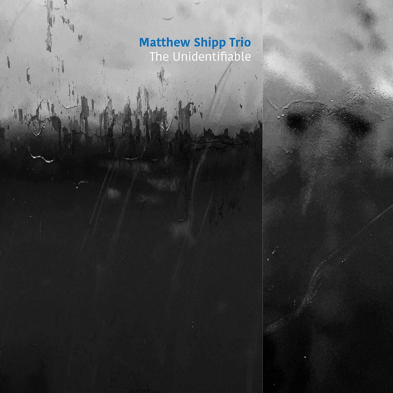 Matthew Shipp Trio - Blue Transport System
