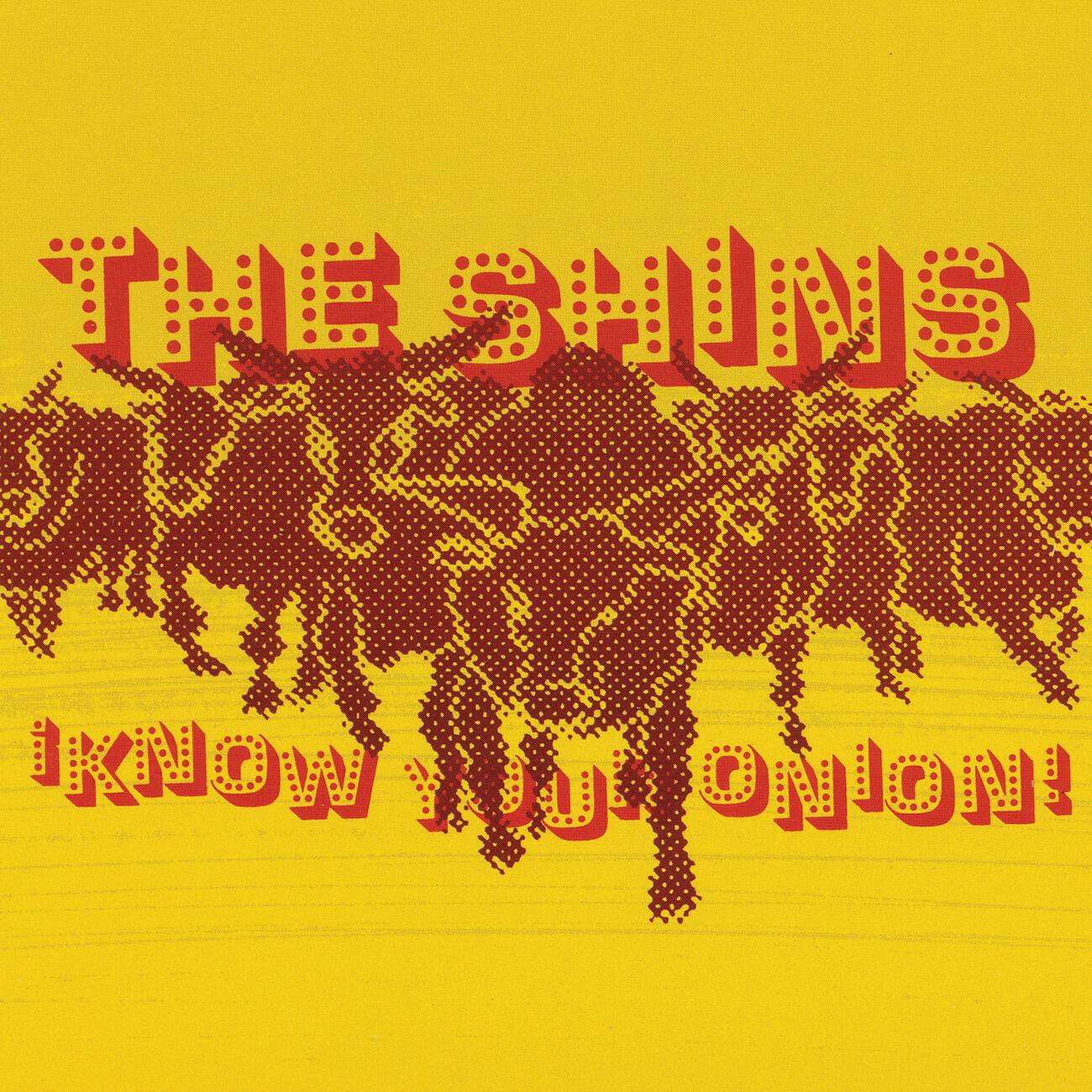 The Shins - Sphagnum Esplanade