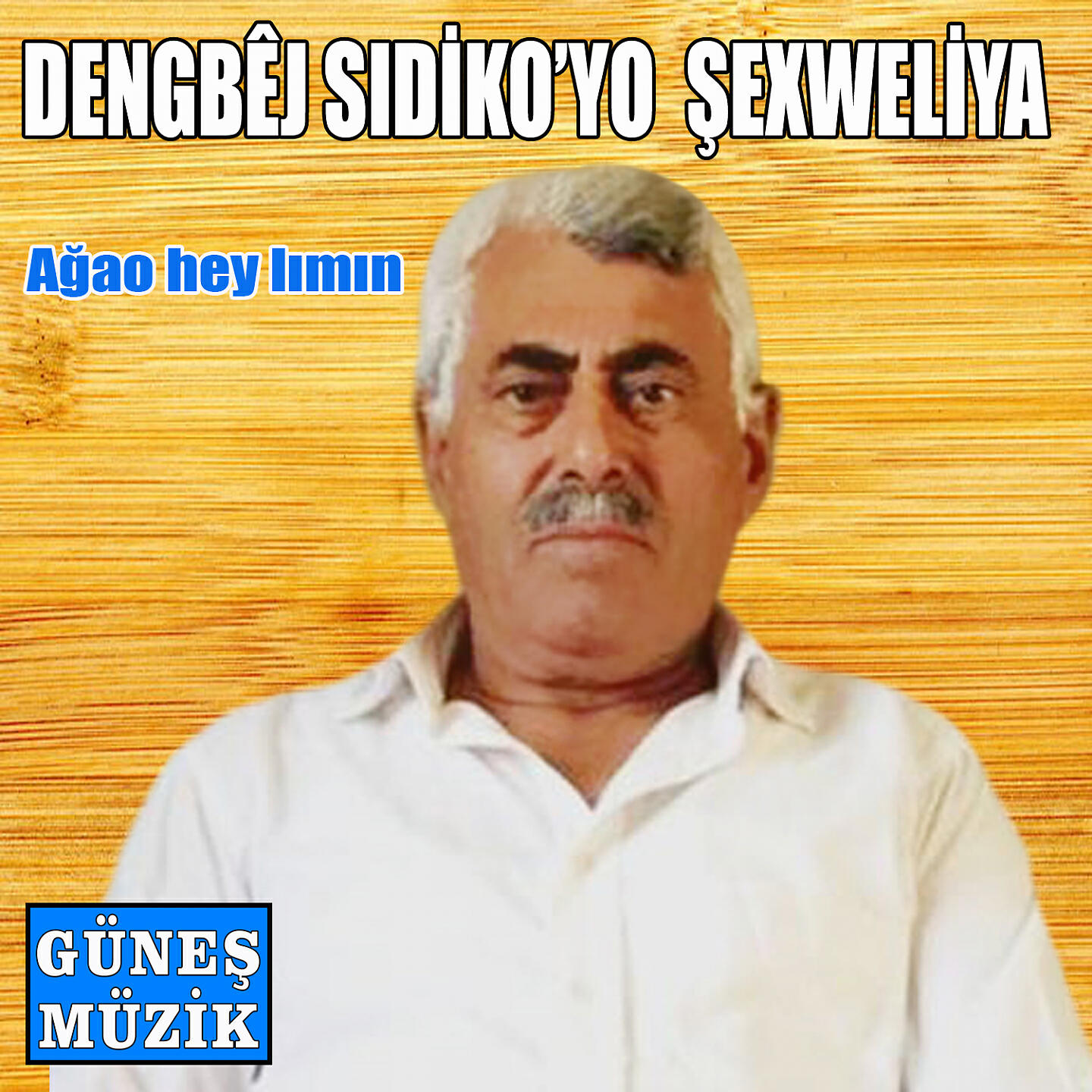 Dengbej Sıdikoye Şexweliya - Şerê Tarğan